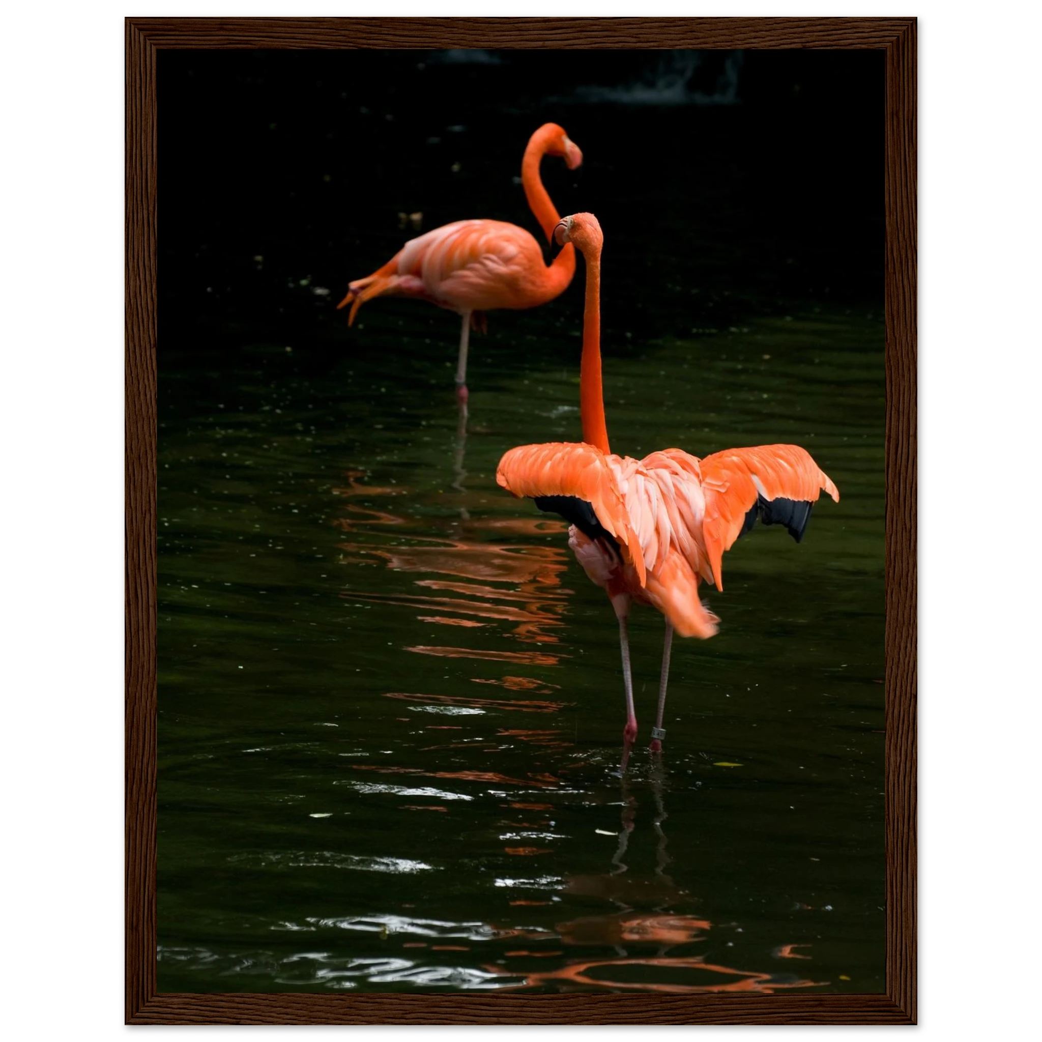 75ae3ad1-226c-4d97-bed4-2663d50cdf05