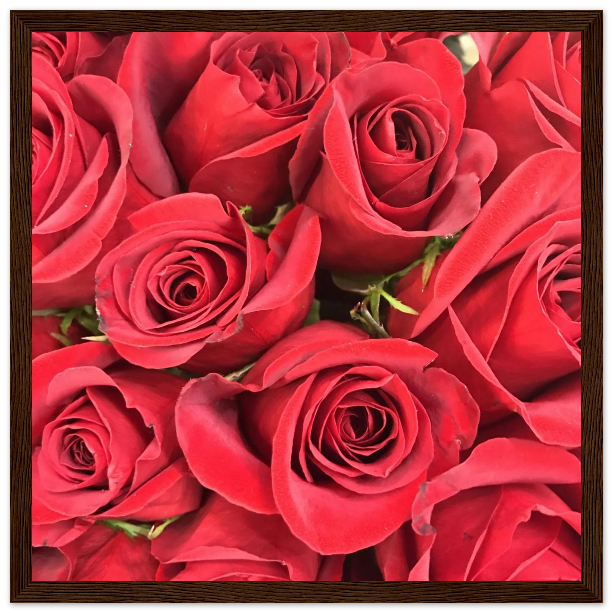 75b4e4e5-63f3-4dbe-a14f-04f683d89867