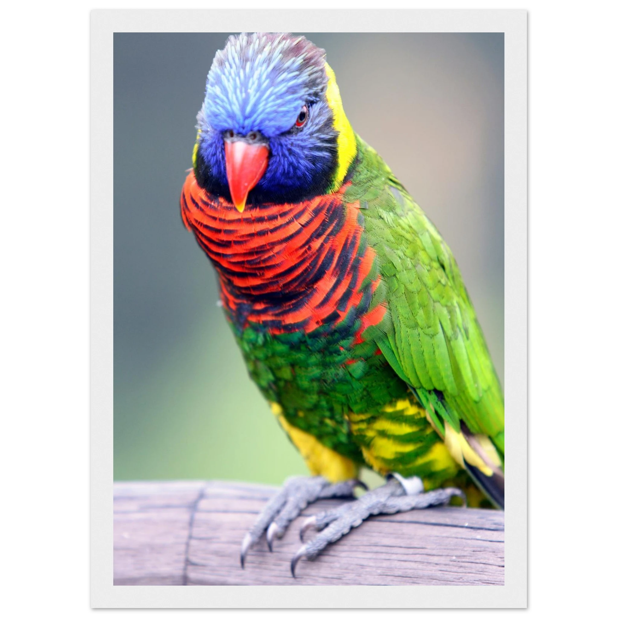 75d195d7-50d6-4661-8da5-45d1735fa983