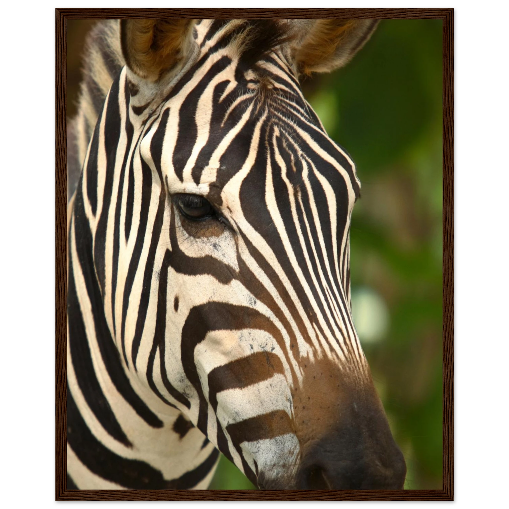 75e3a0e2-8bbe-48ca-a563-b39e6c078787