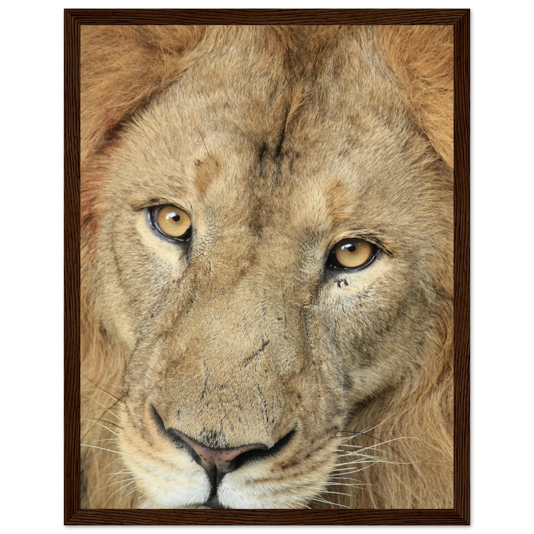 75ee8406-14f1-4c9c-9b00-041108c46abd