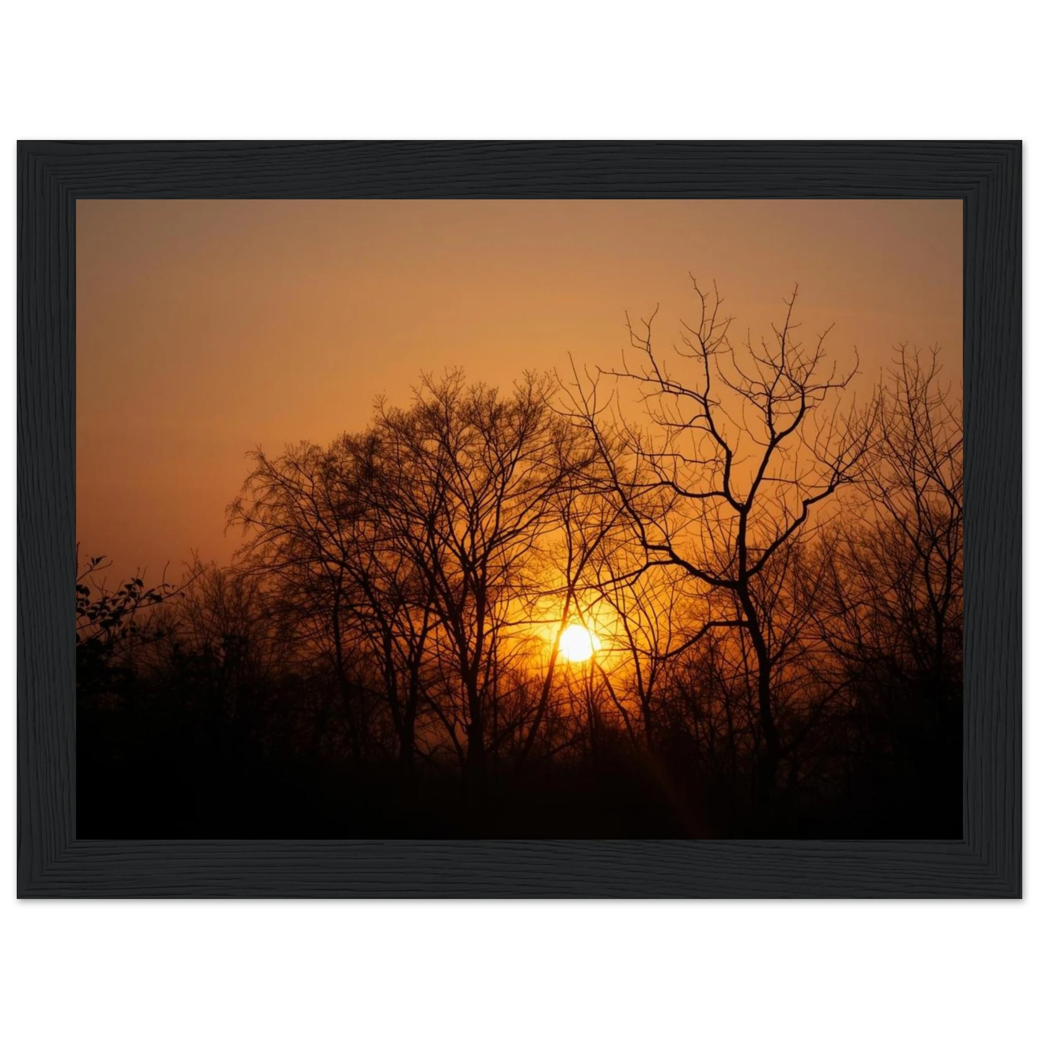 7623a203-2089-4bf7-8a65-962002dee1dc