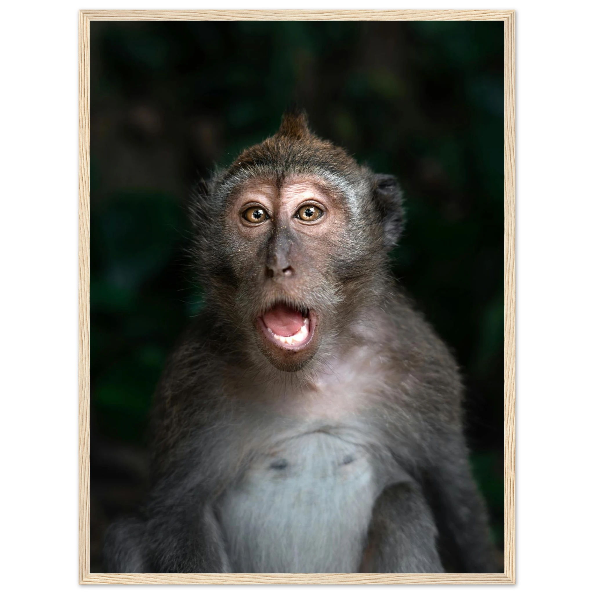 763dd2fd-3a38-43d6-95b2-cf3dab0654f0