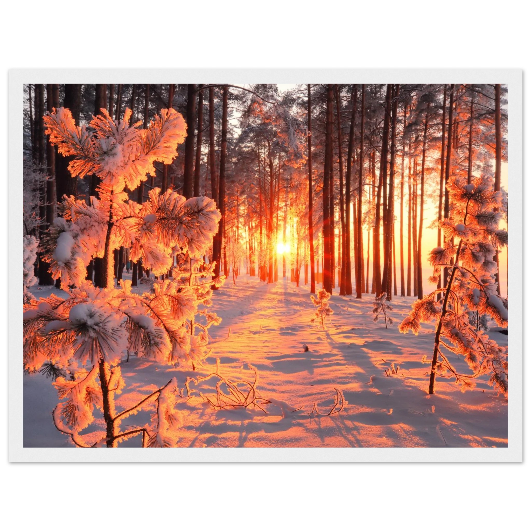 767b16a0-2198-4877-a713-a9a0e2e6f591