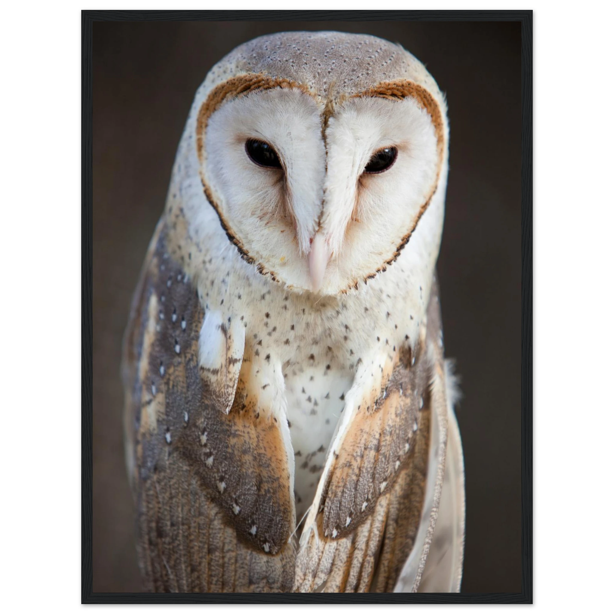 769b31ef-6131-4208-9e10-1a040fde718f