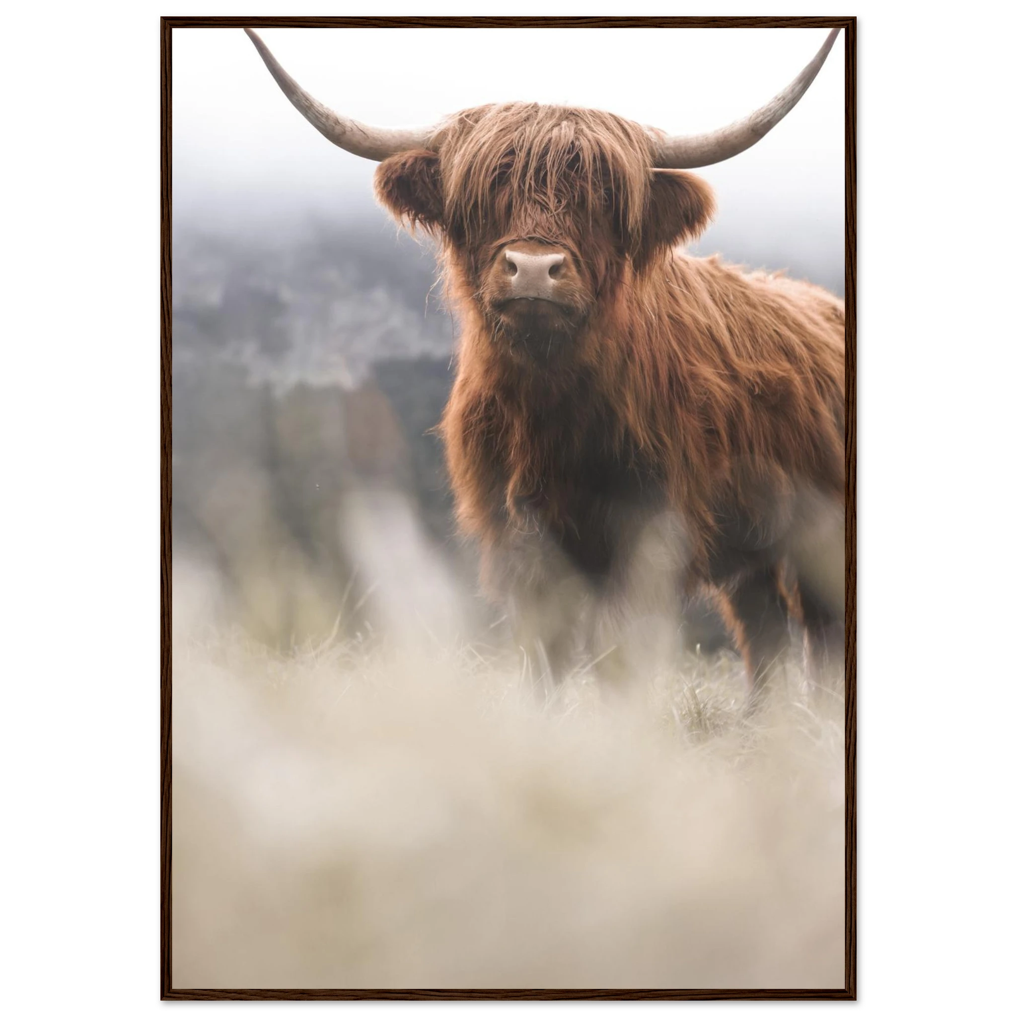 769ca107-3019-44a9-9304-50f8550ae111