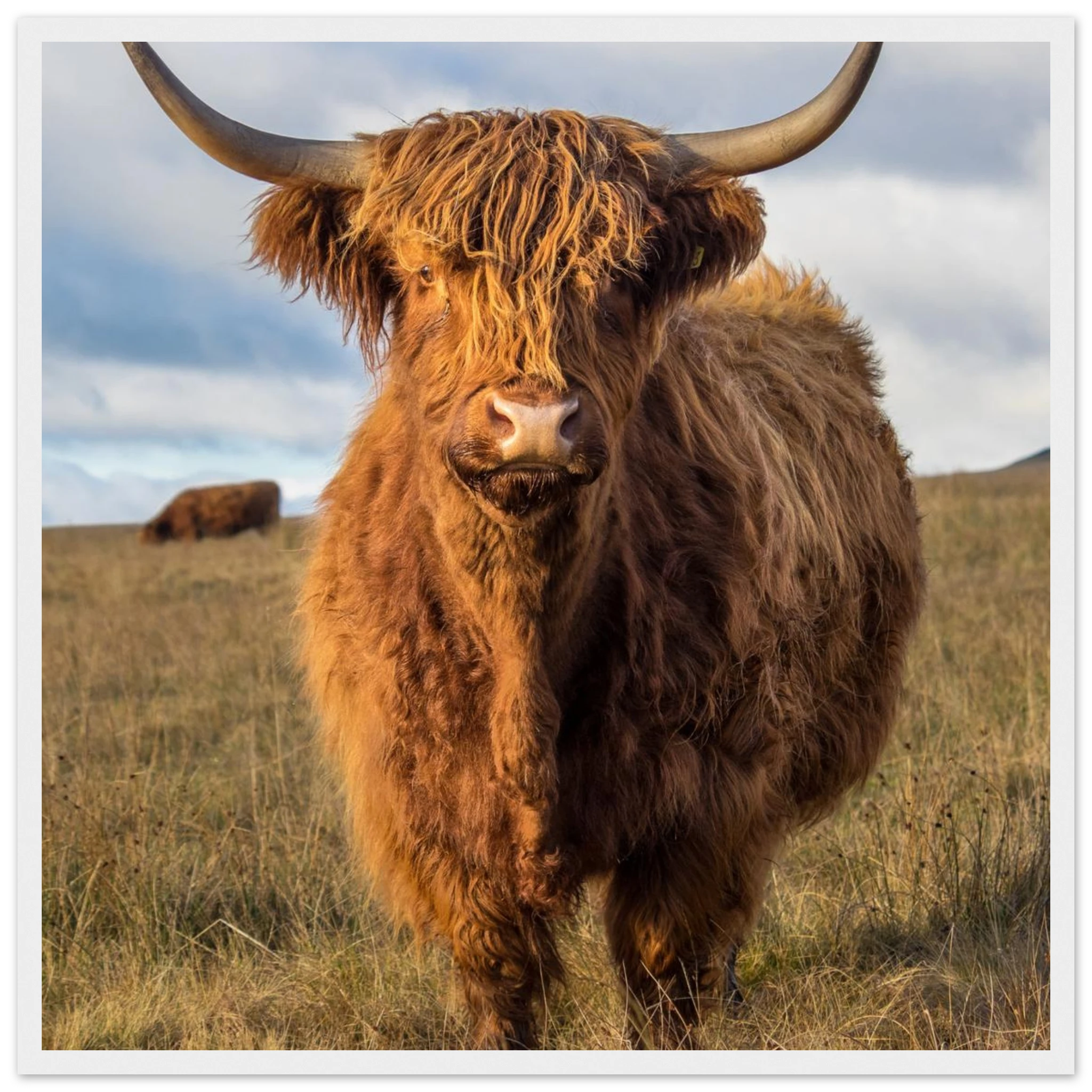 769e4231-f3a0-466a-b5f5-4815b57363d8