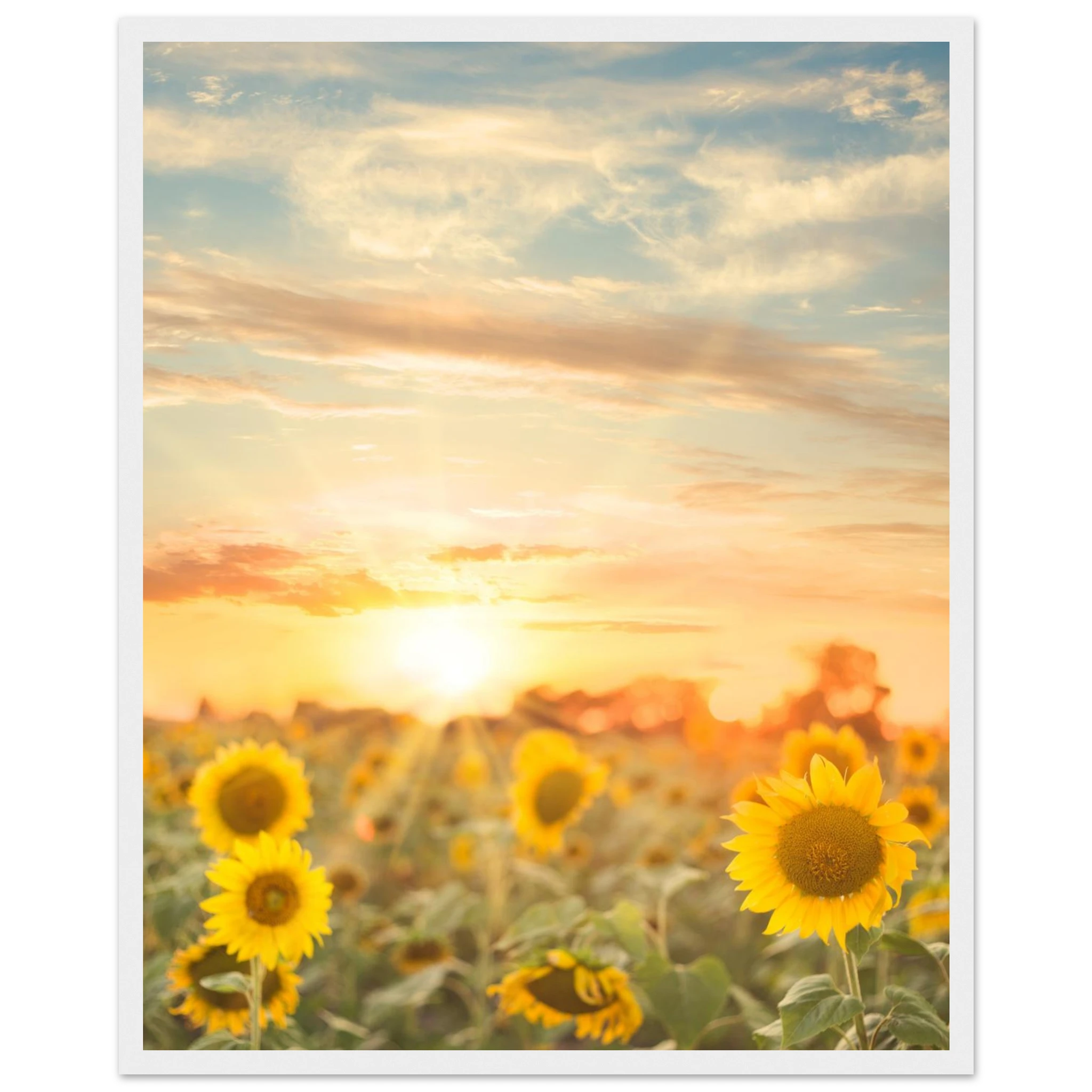 76d03ee6-d14c-4bb4-9be1-e5147ce350f9