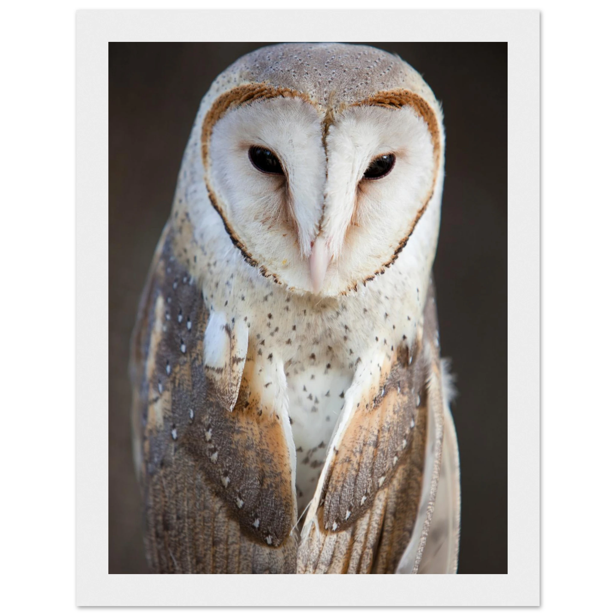 76f8646d-fb16-42ae-b8a9-7056d67c730f