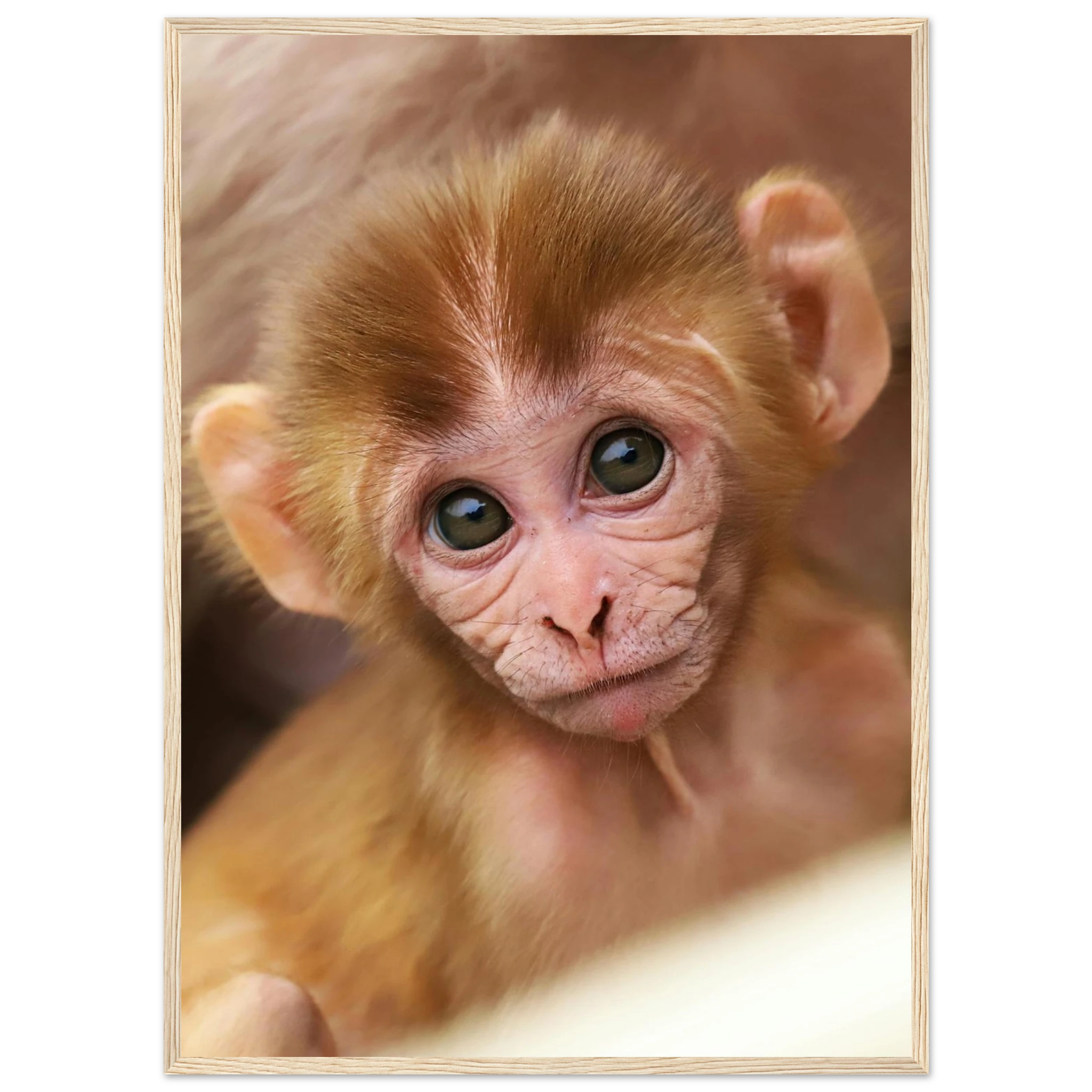 76fe4aac-2a7a-472a-a3db-fe33ca4761b9