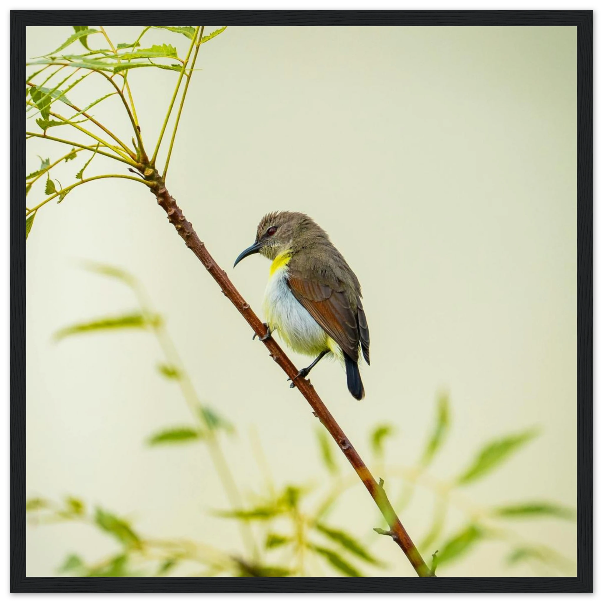 77078742-a725-493c-bd3d-3d20e26c0071