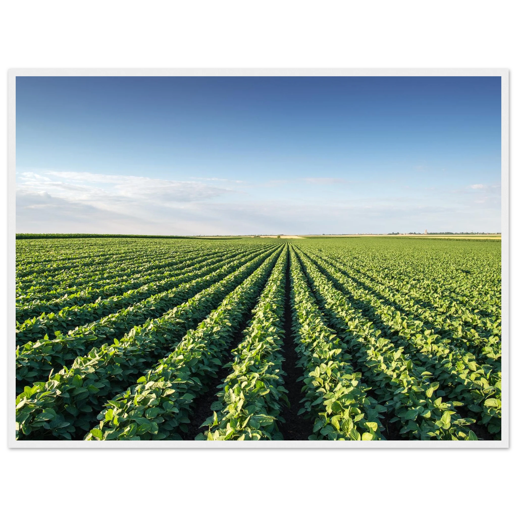 770eb945-1142-4533-8118-67982306e574