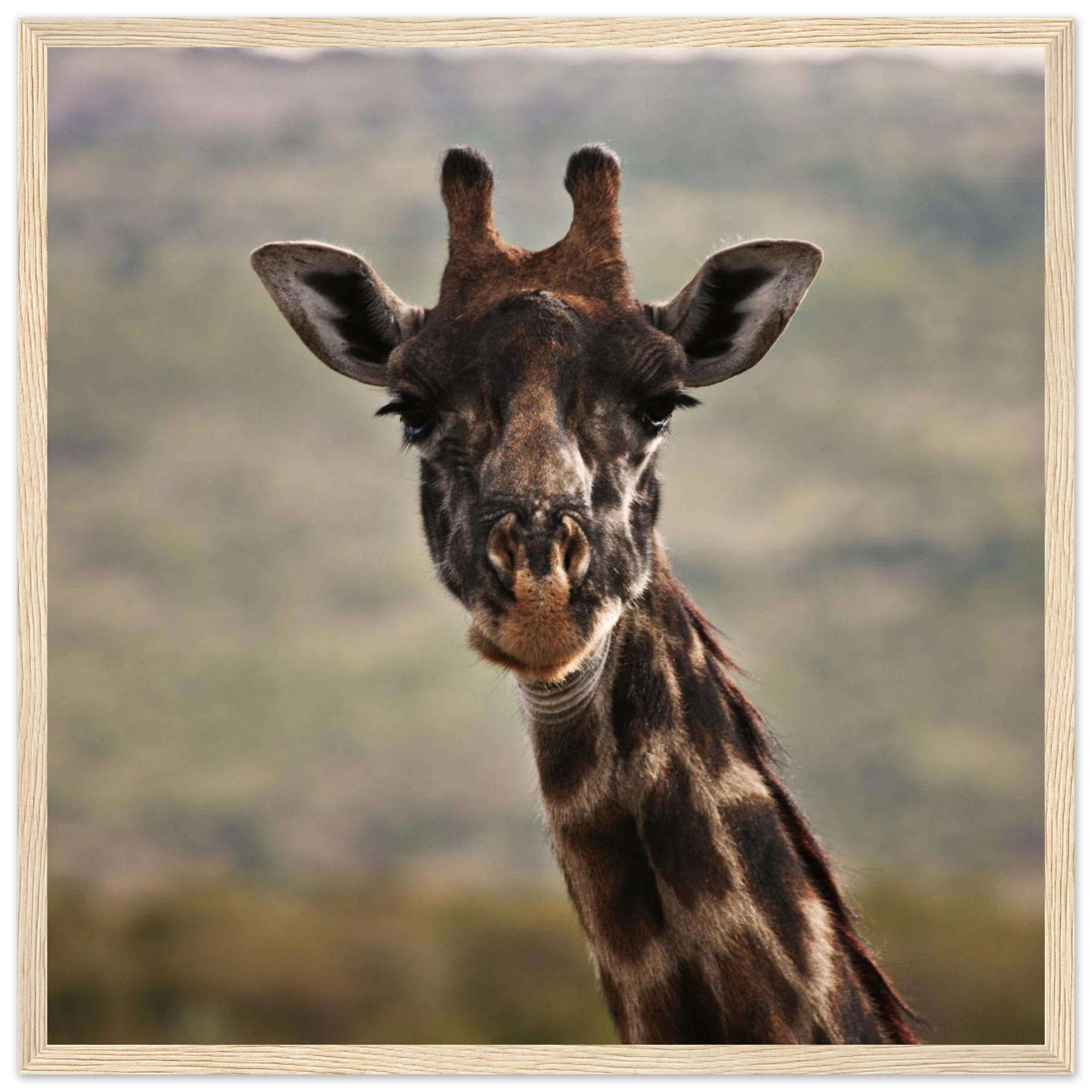 772d44a4-c32e-46c4-b12a-9f09659a19da