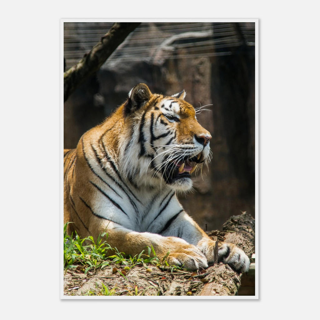 778d6281-cb54-4552-8ba1-afb924b3ba1e