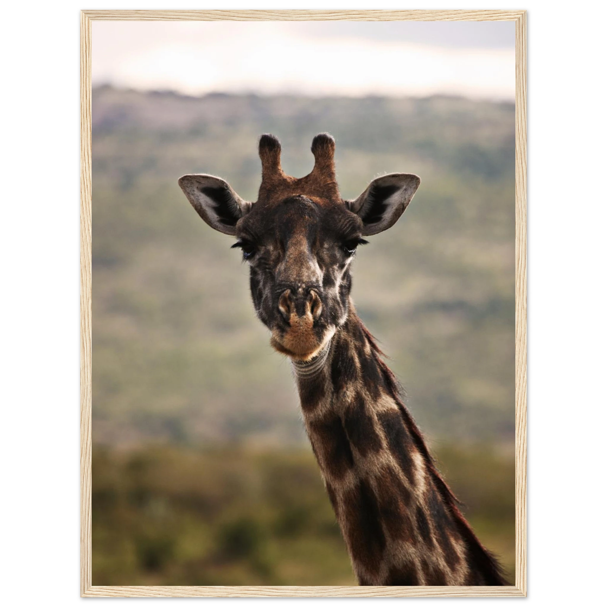 7797bfb7-66d5-45e8-91a7-eb860c71ac77