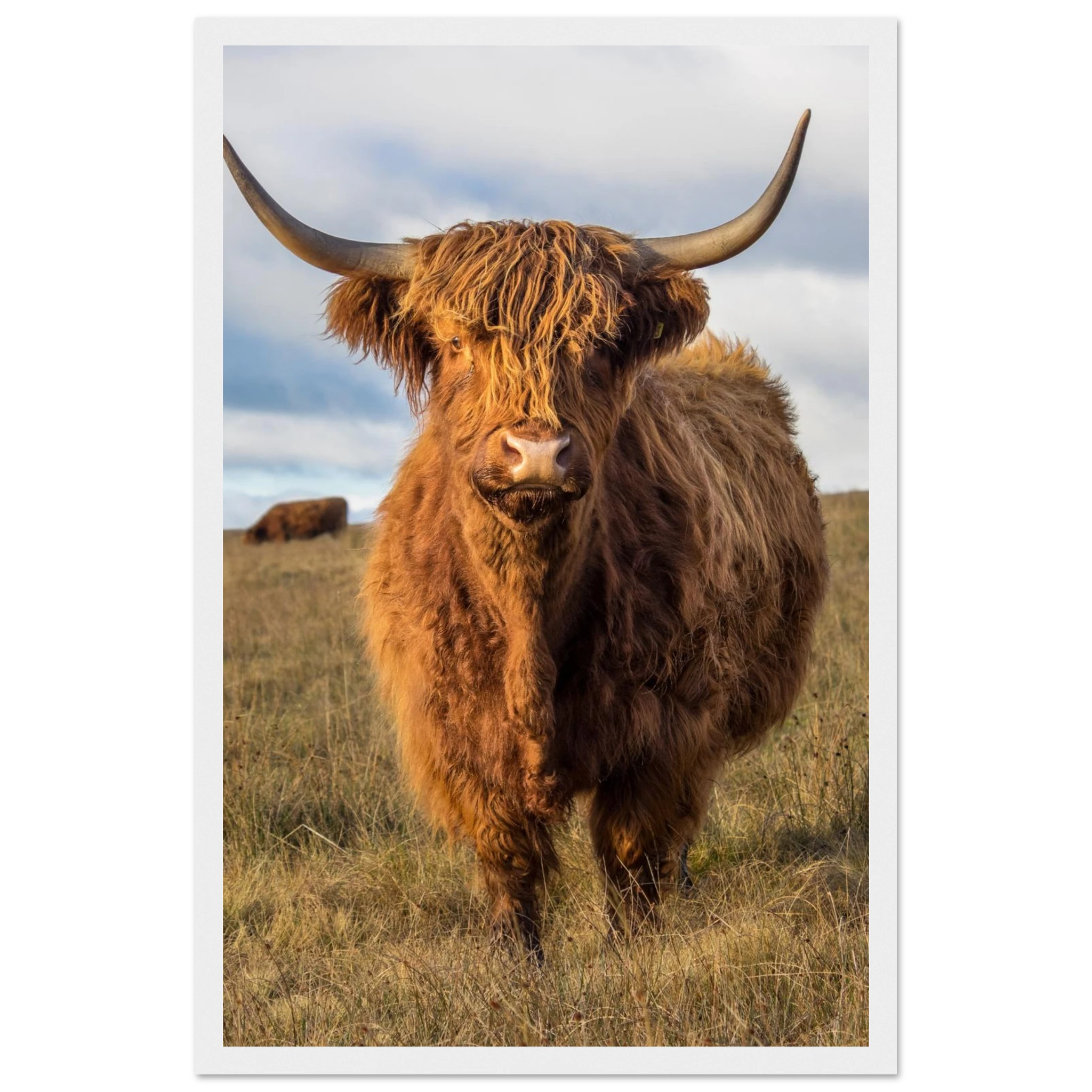 77a4408d-5d22-4e70-bdc6-2c9051e1bf72