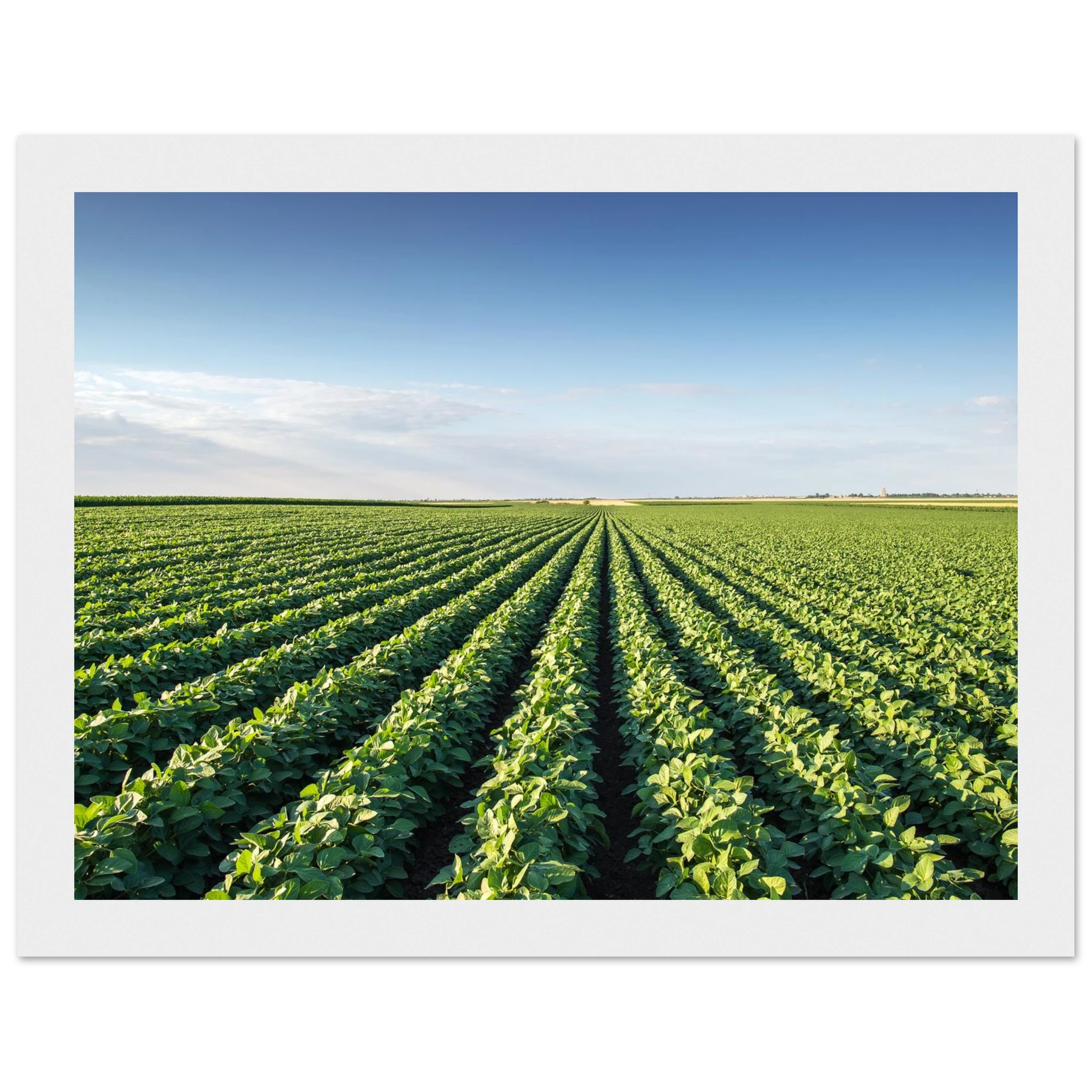 77bdc682-487f-42b8-a2ee-bef011972e1b