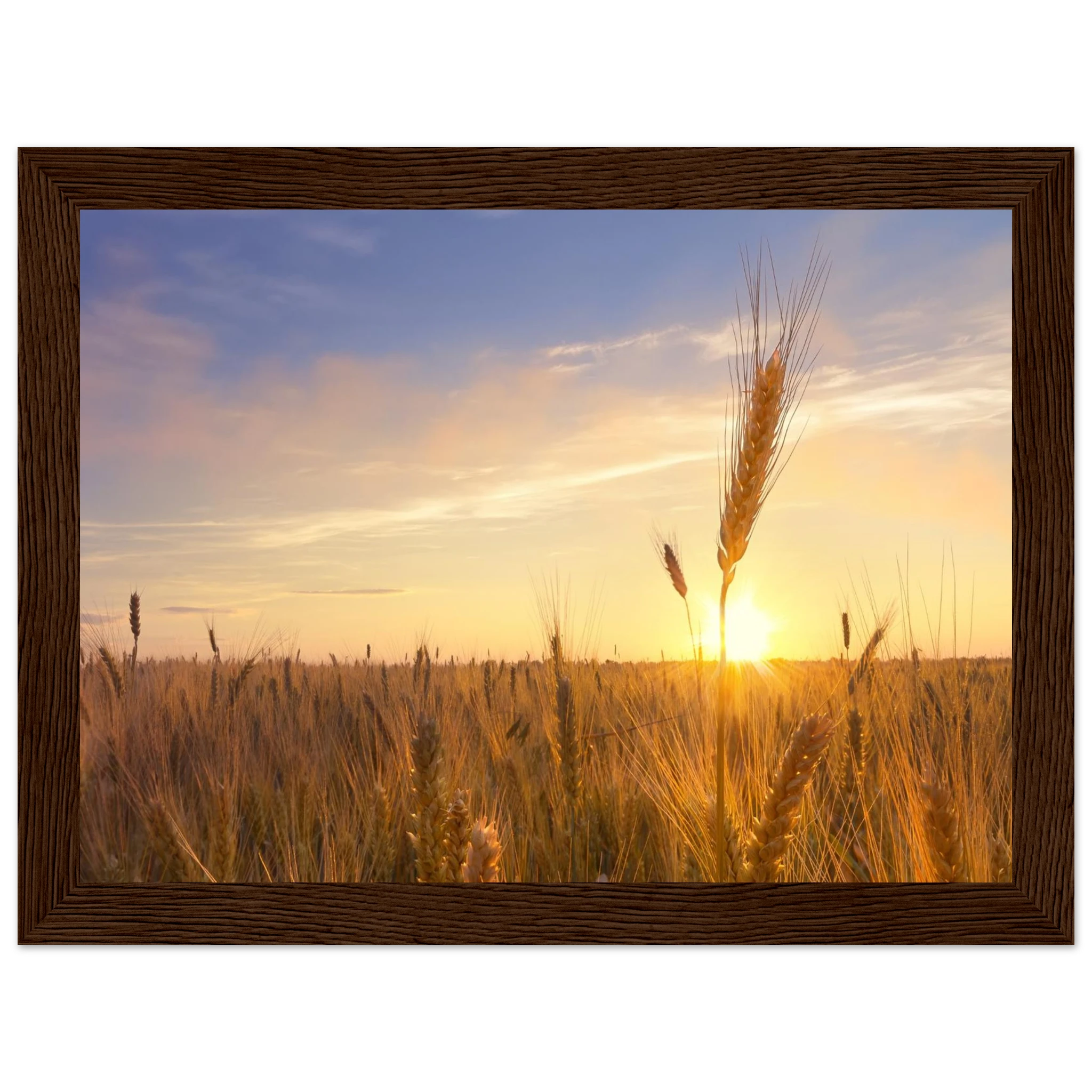 77c12046-7927-4d18-854c-71eb915dc80a