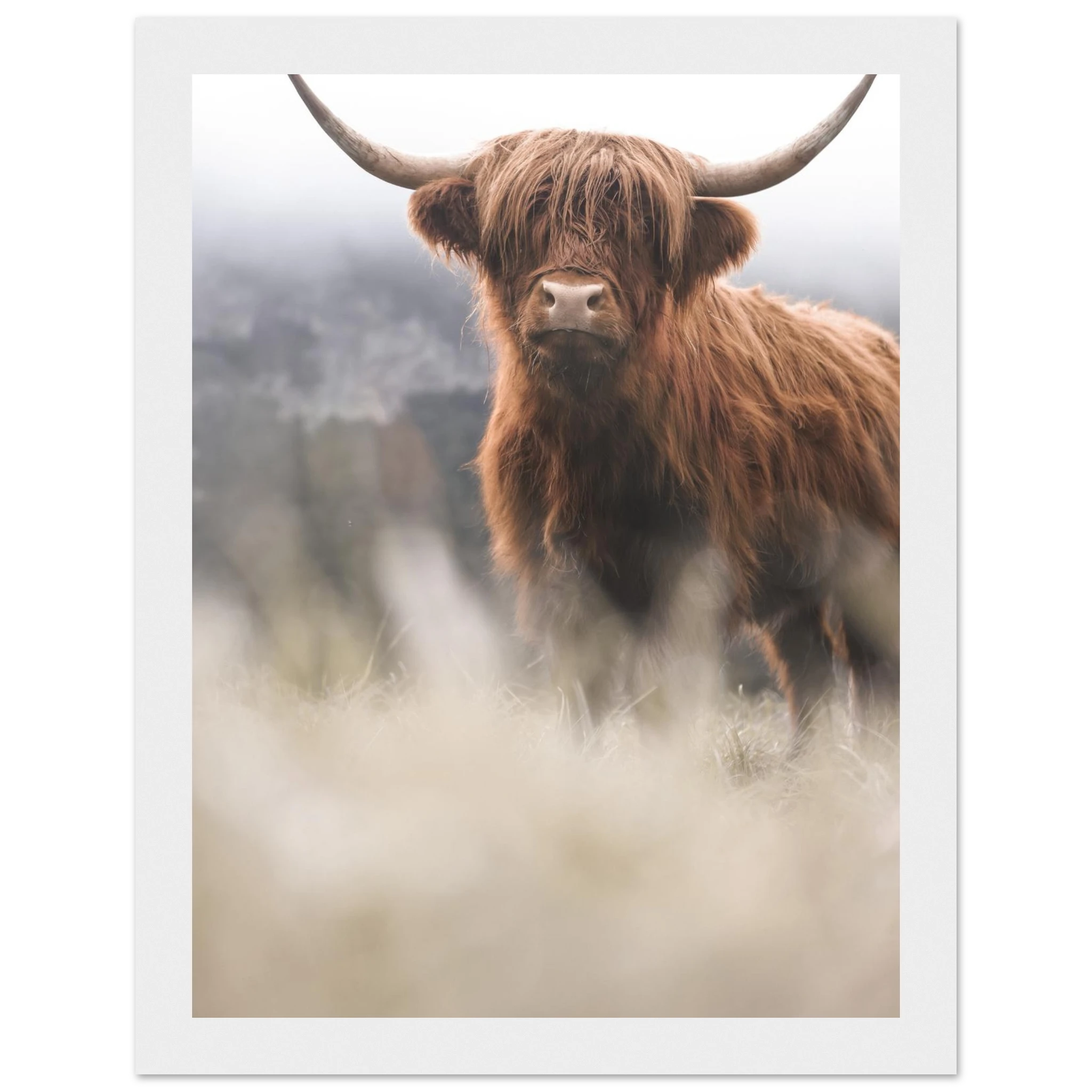 77cc12f9-de92-4cba-8a87-fae8243e15de