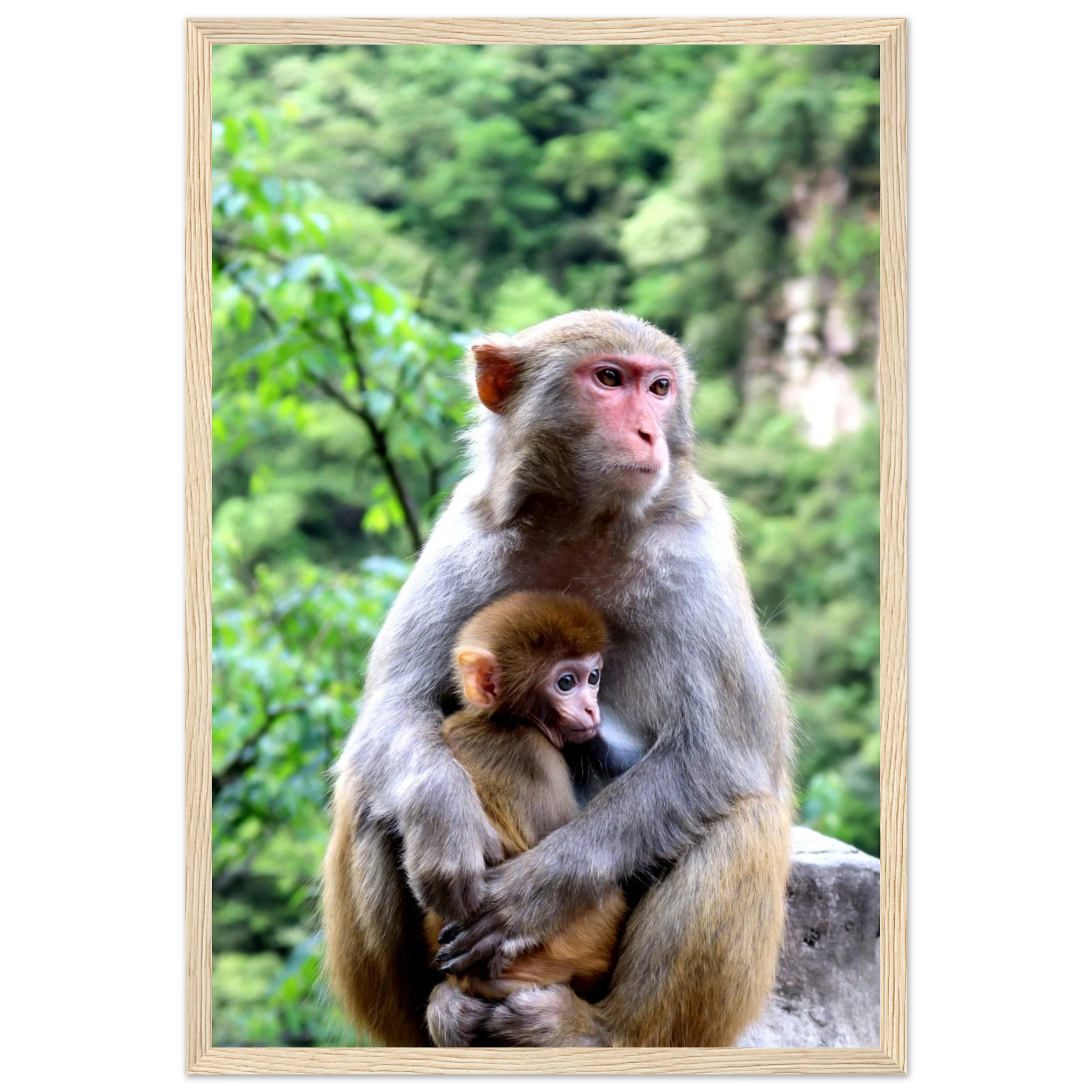 77ee5e0e-0ff9-4e48-a8f1-78366e688c6e