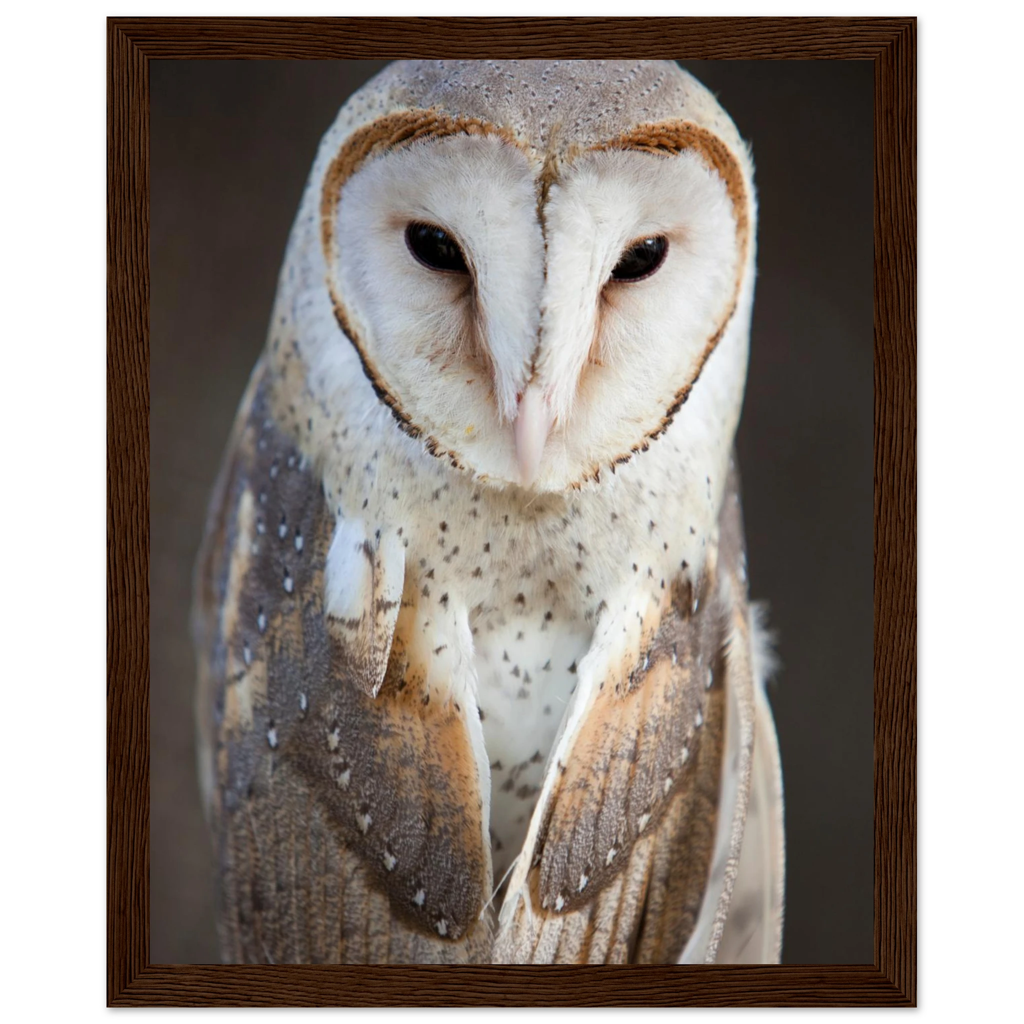 77fc51b6-1f7b-4728-96cb-fe6186af0ca8