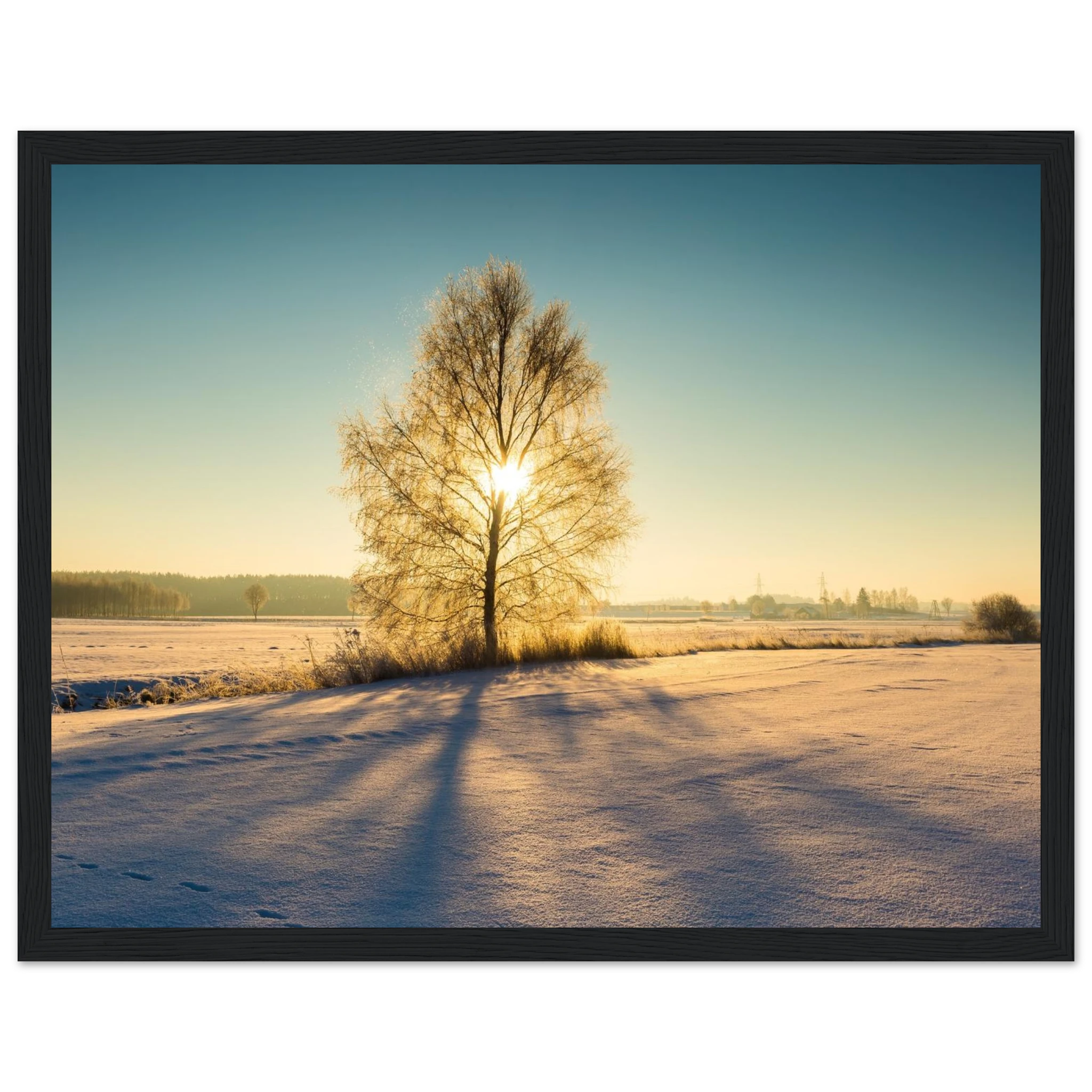 78081970-1542-45fe-b4f5-542ef87e344b