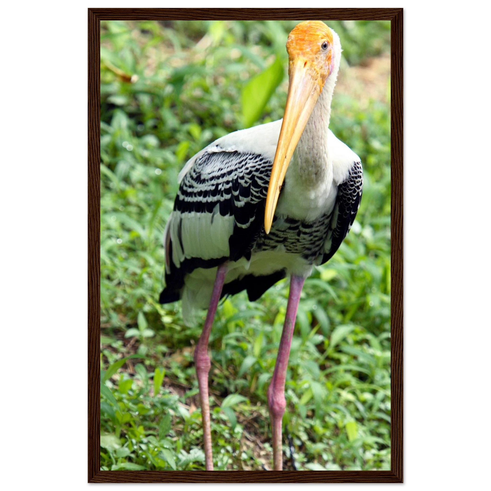 78487528-0da2-4213-8684-df8cf4dfe53d