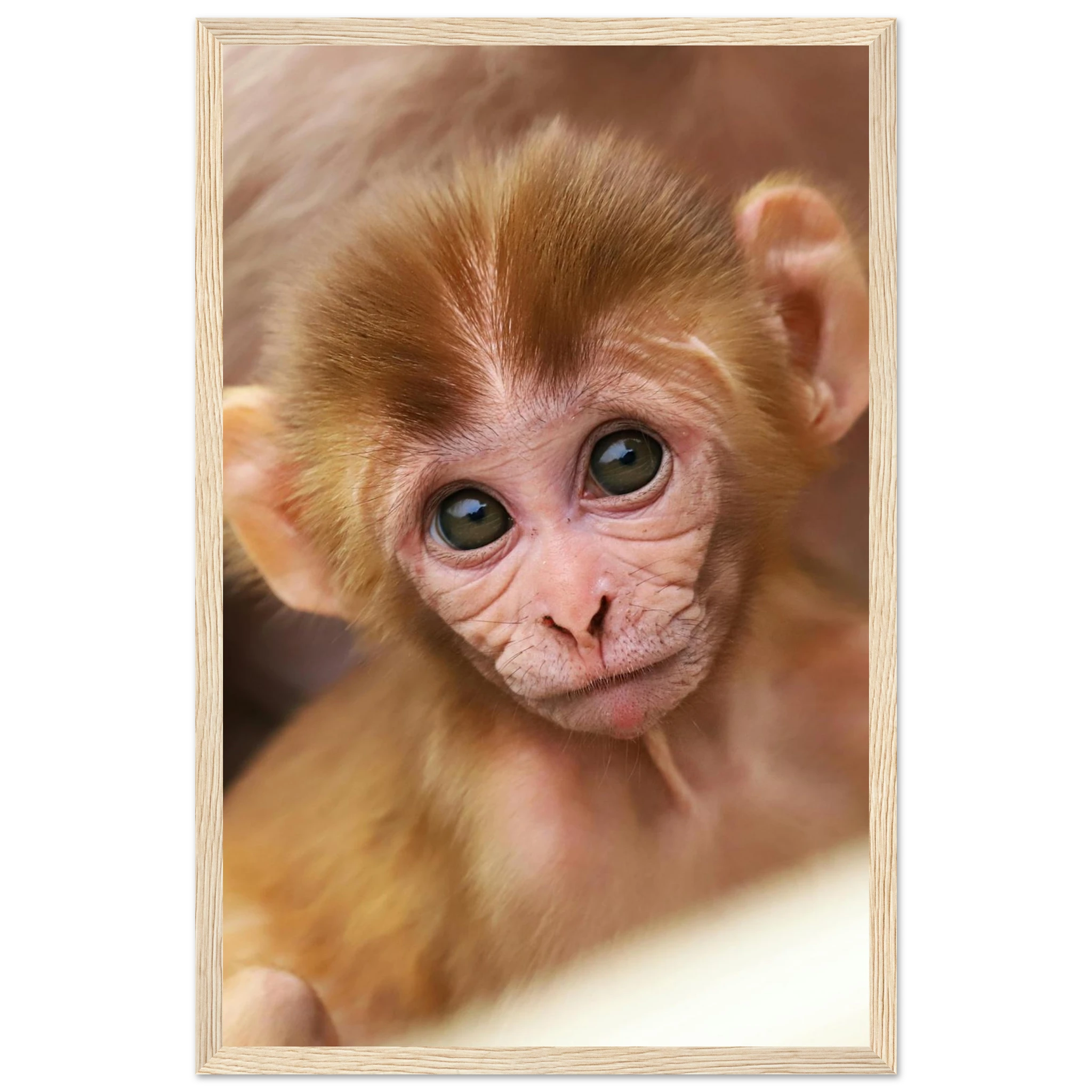 78557366-b8f7-4aa4-9ea0-01a2e60aa566