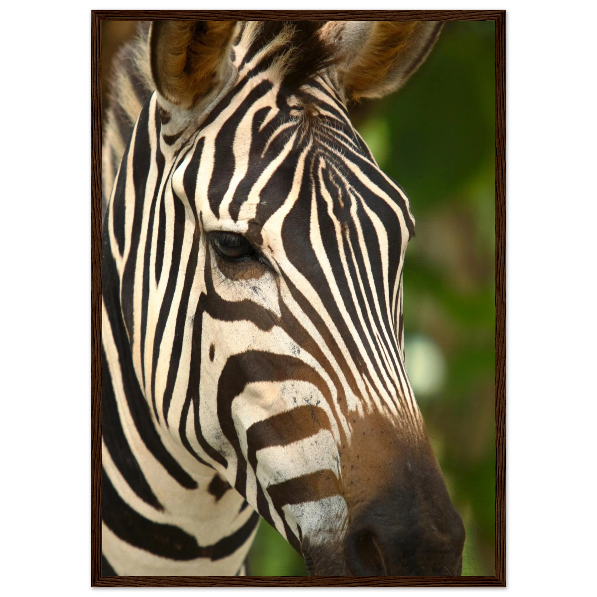 785b6a65-5e81-4b5a-94ad-b2321b8cdc8e