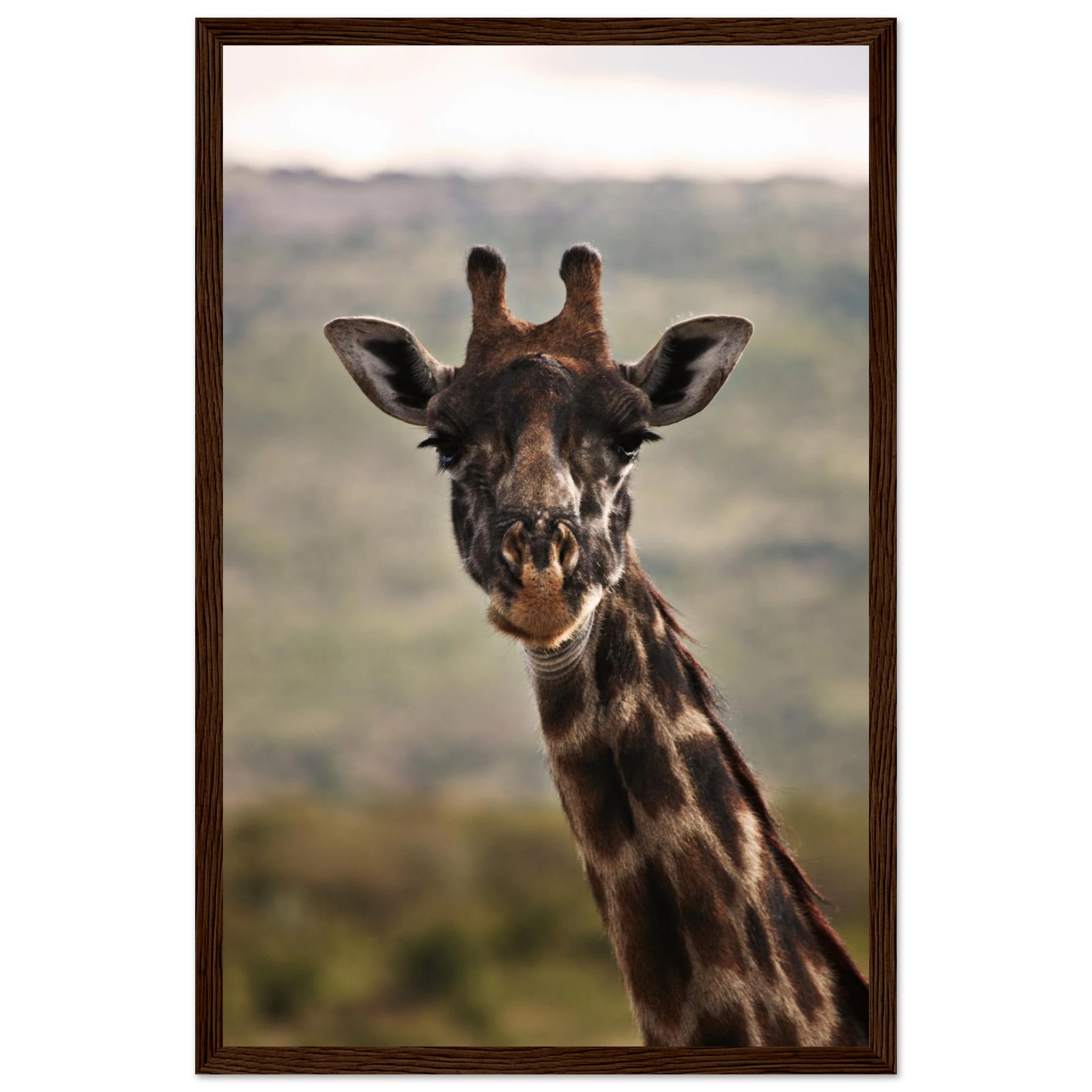 78707eb1-f4c6-4708-a16a-a03682d8d0dc