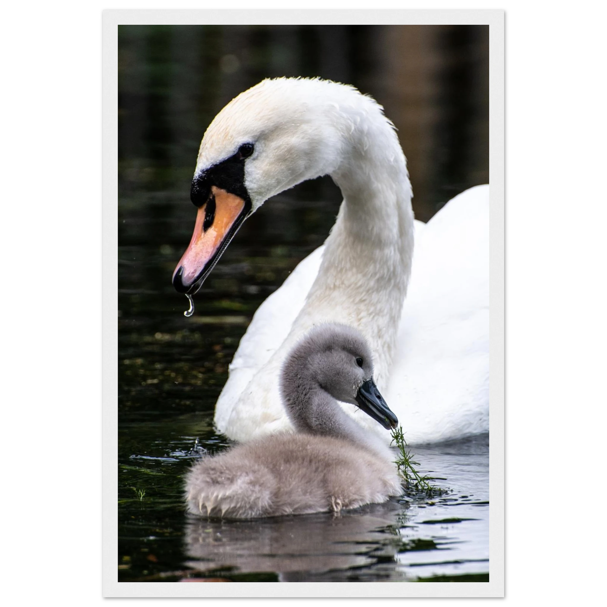 7885cbed-d29b-4bba-85c3-c437eb385d23