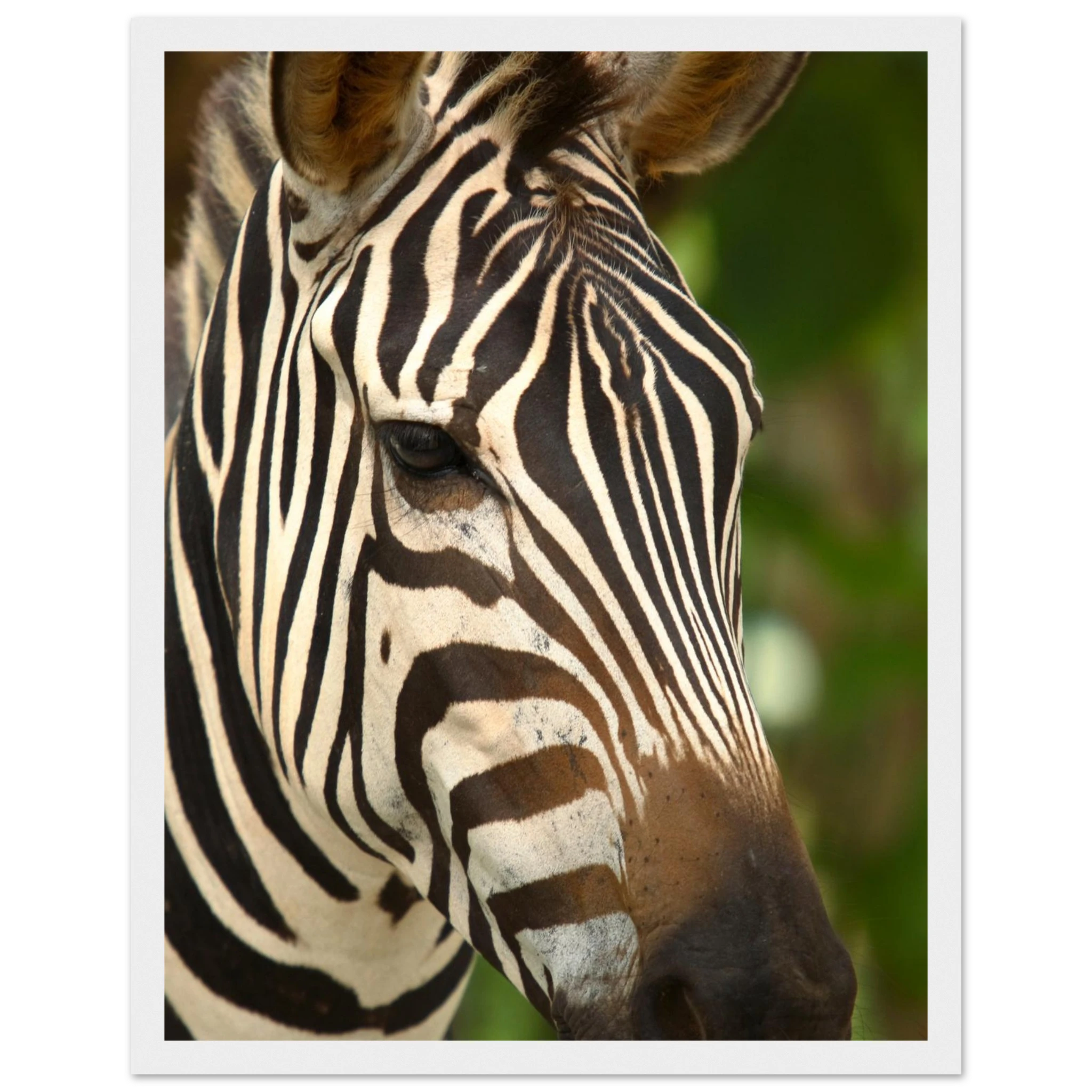 78a69ed9-9c12-4f92-976a-9034002a0d59