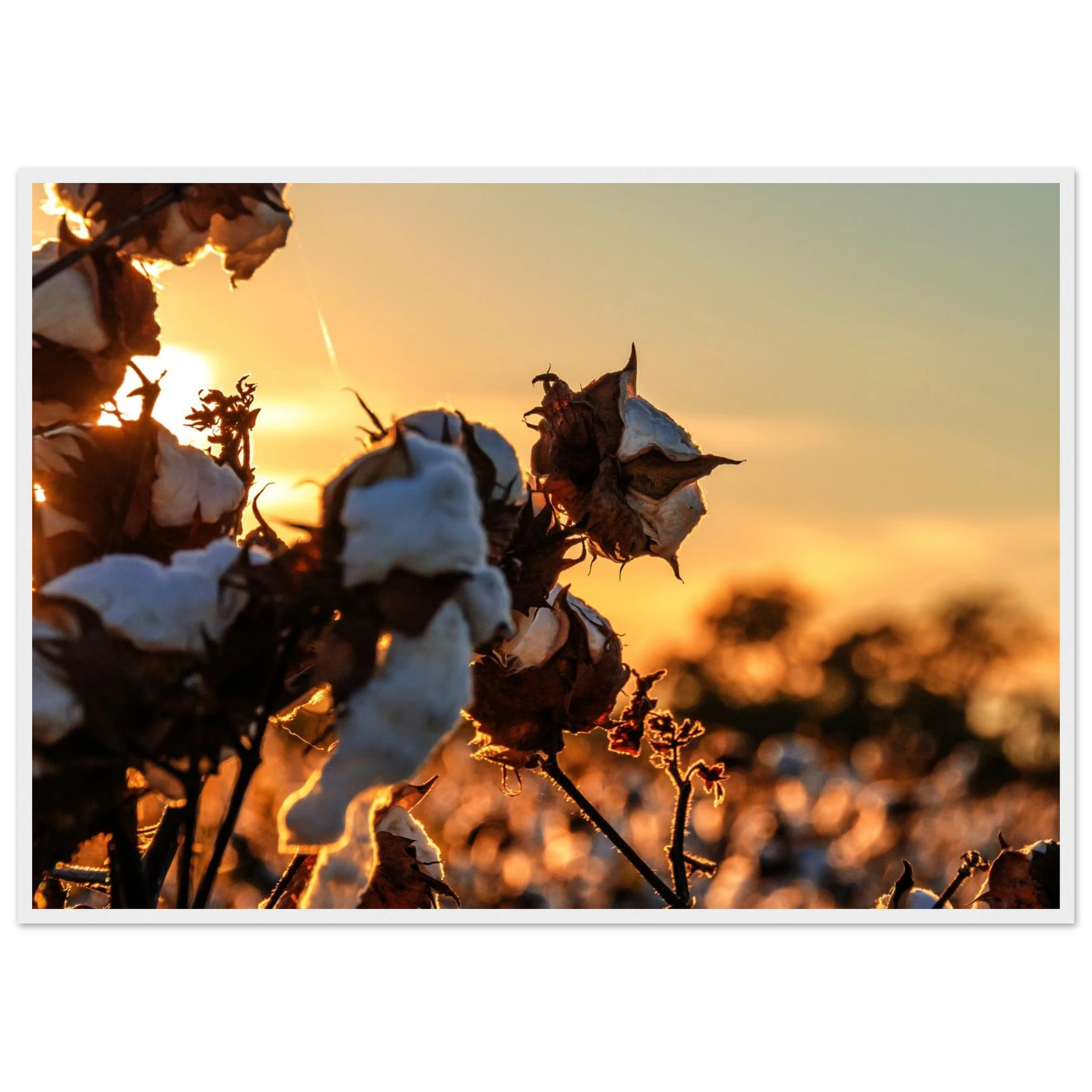 78bcc05e-fb05-4f49-b483-0e445a2eb2d2