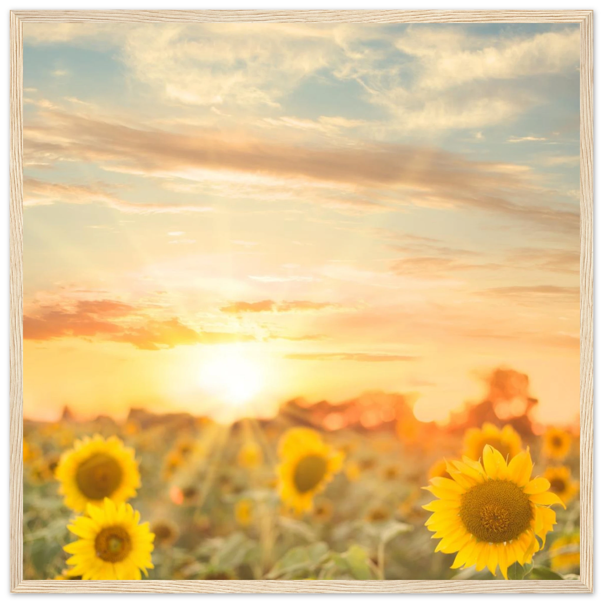 78c2eee2-31b7-4cf8-8979-5391c1916e58