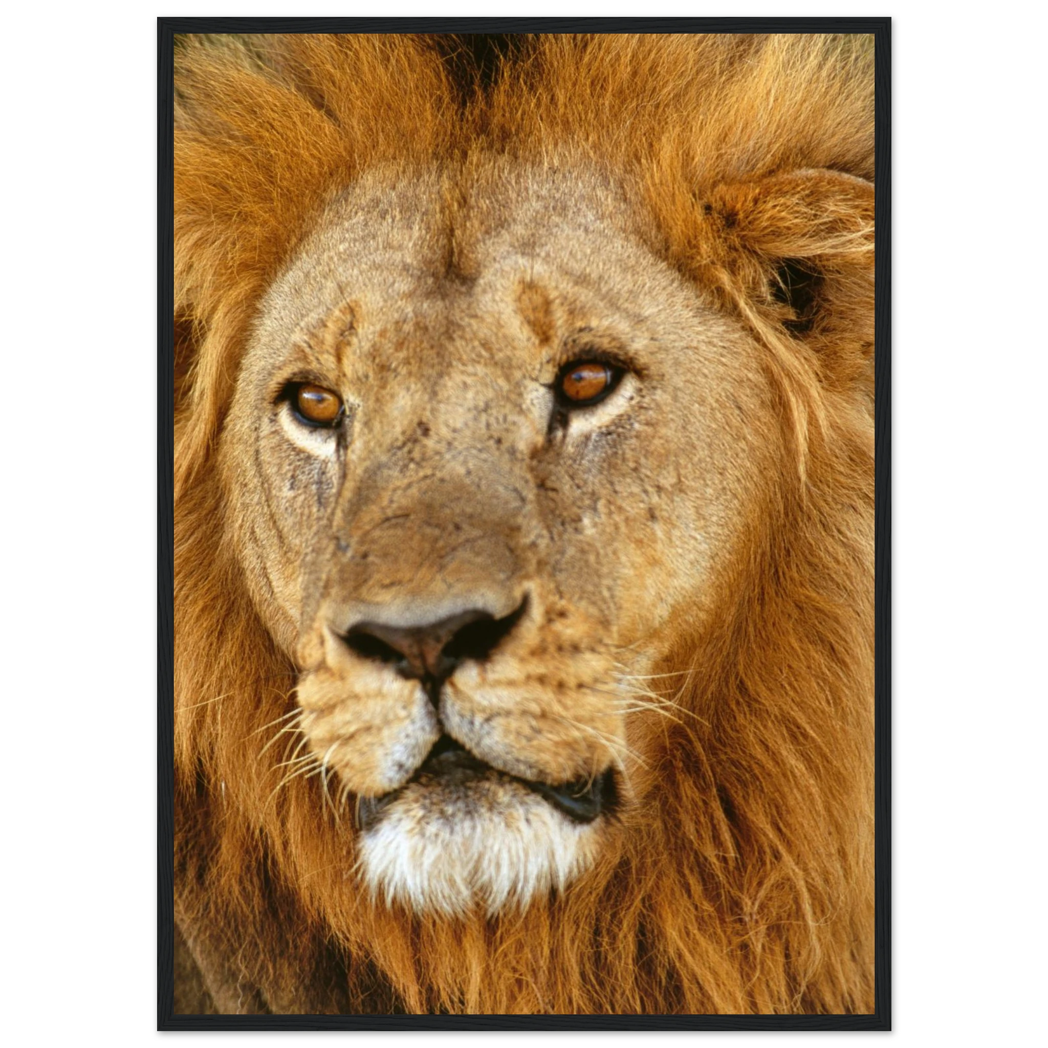 78f40acd-0023-47c0-ac6c-bdb7369c7c2e