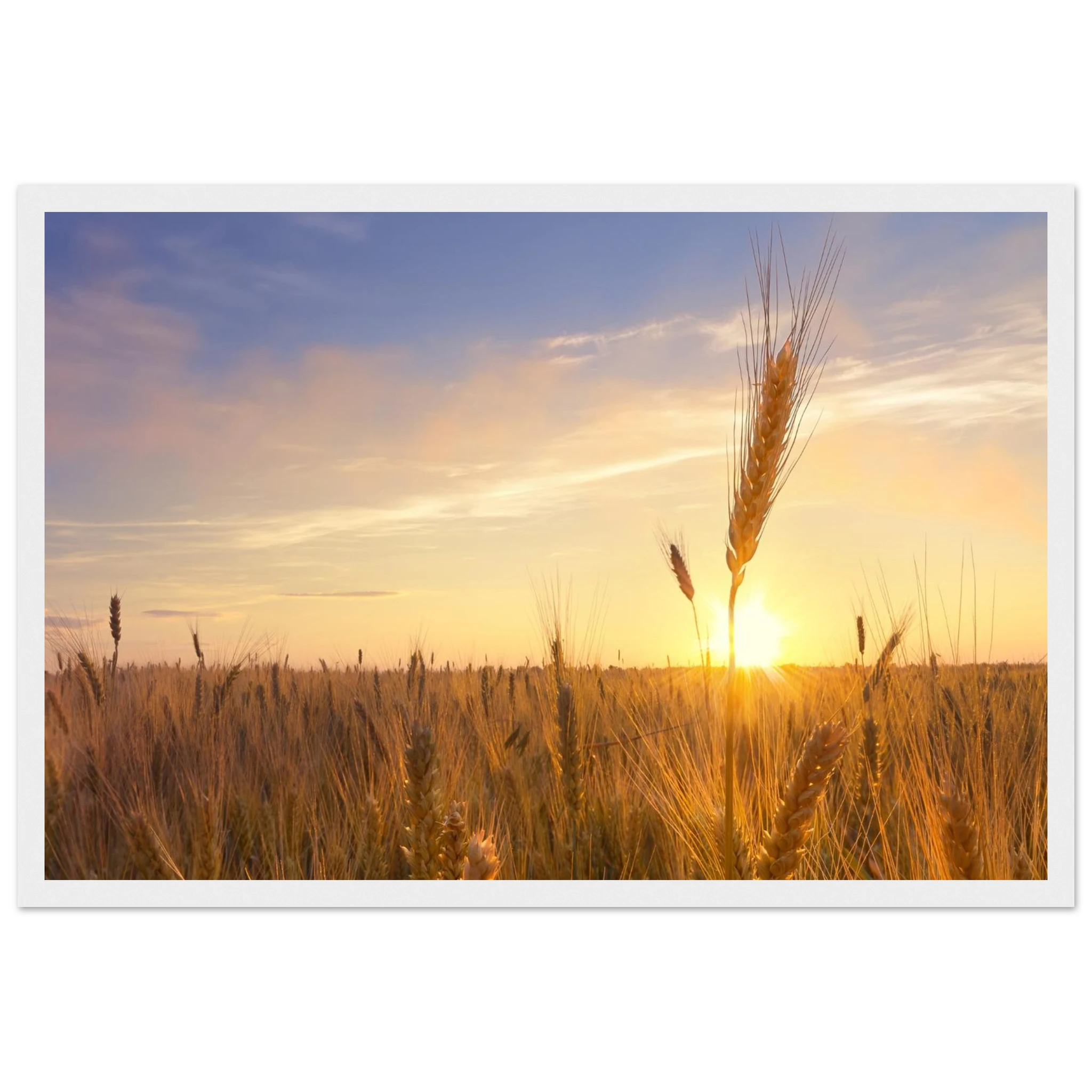 78fdafa1-4d98-4b51-8011-ea217f97e50d