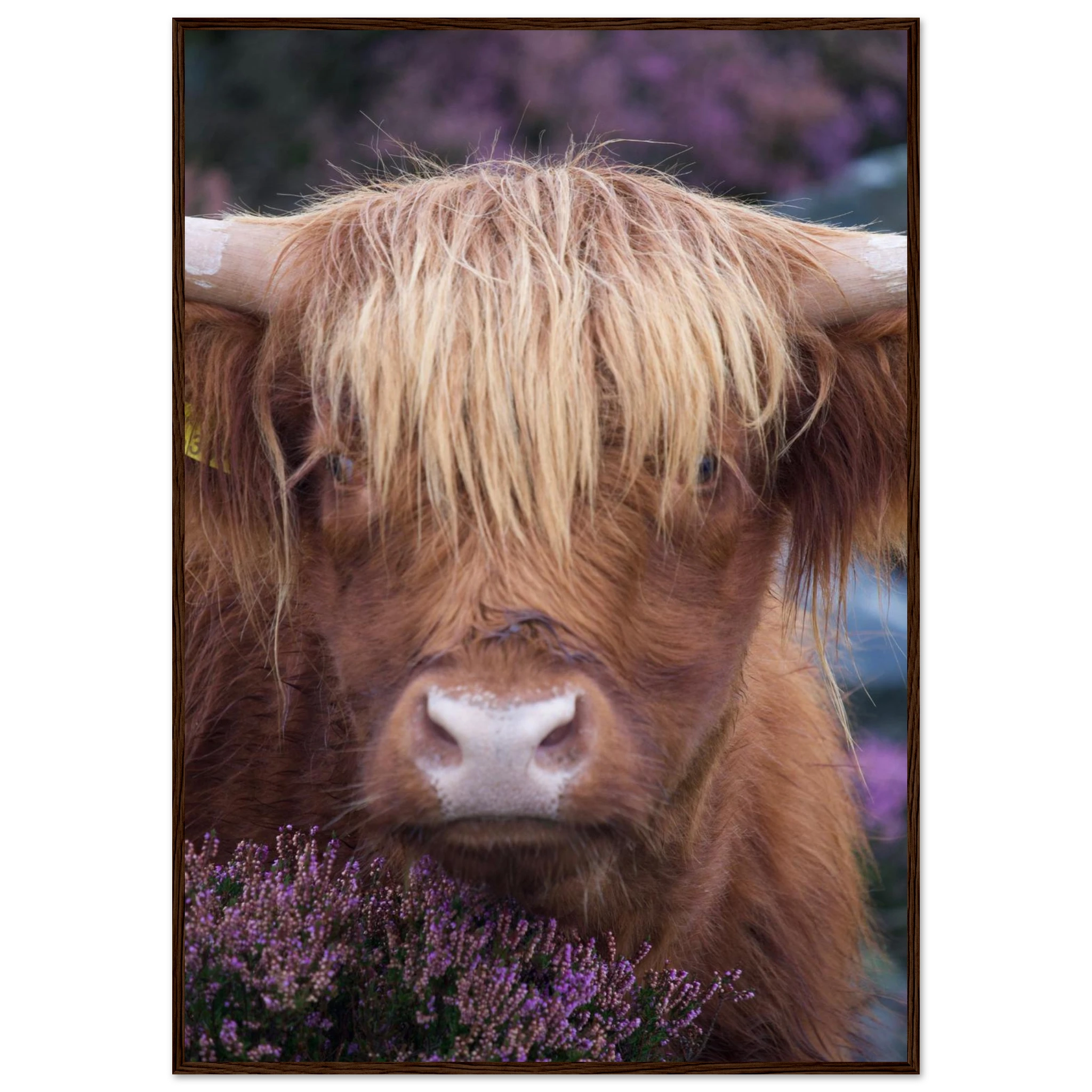 791699f8-4262-402e-8fd6-fc2c8aff09c0