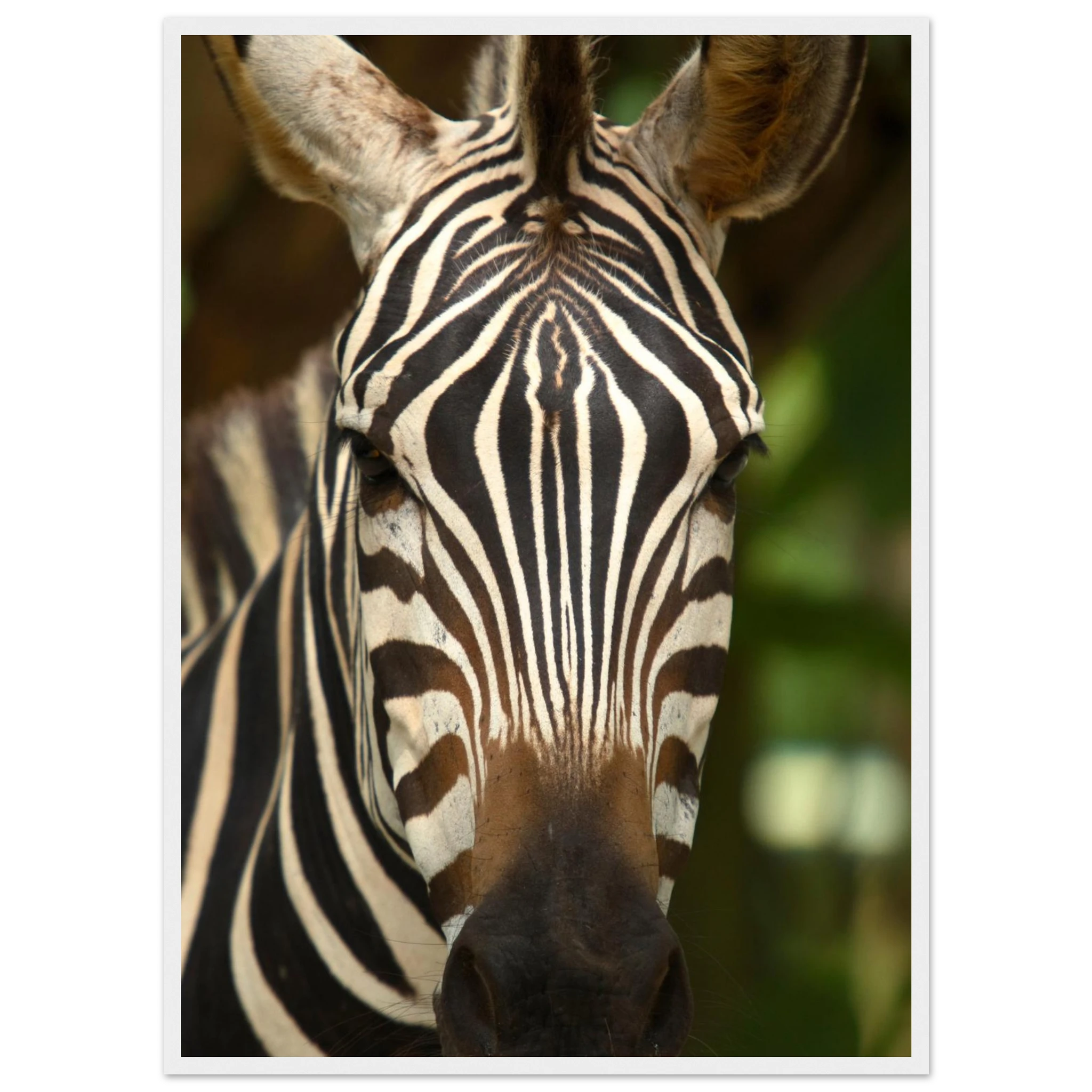 7927d403-1345-4252-a759-105c82da6df2