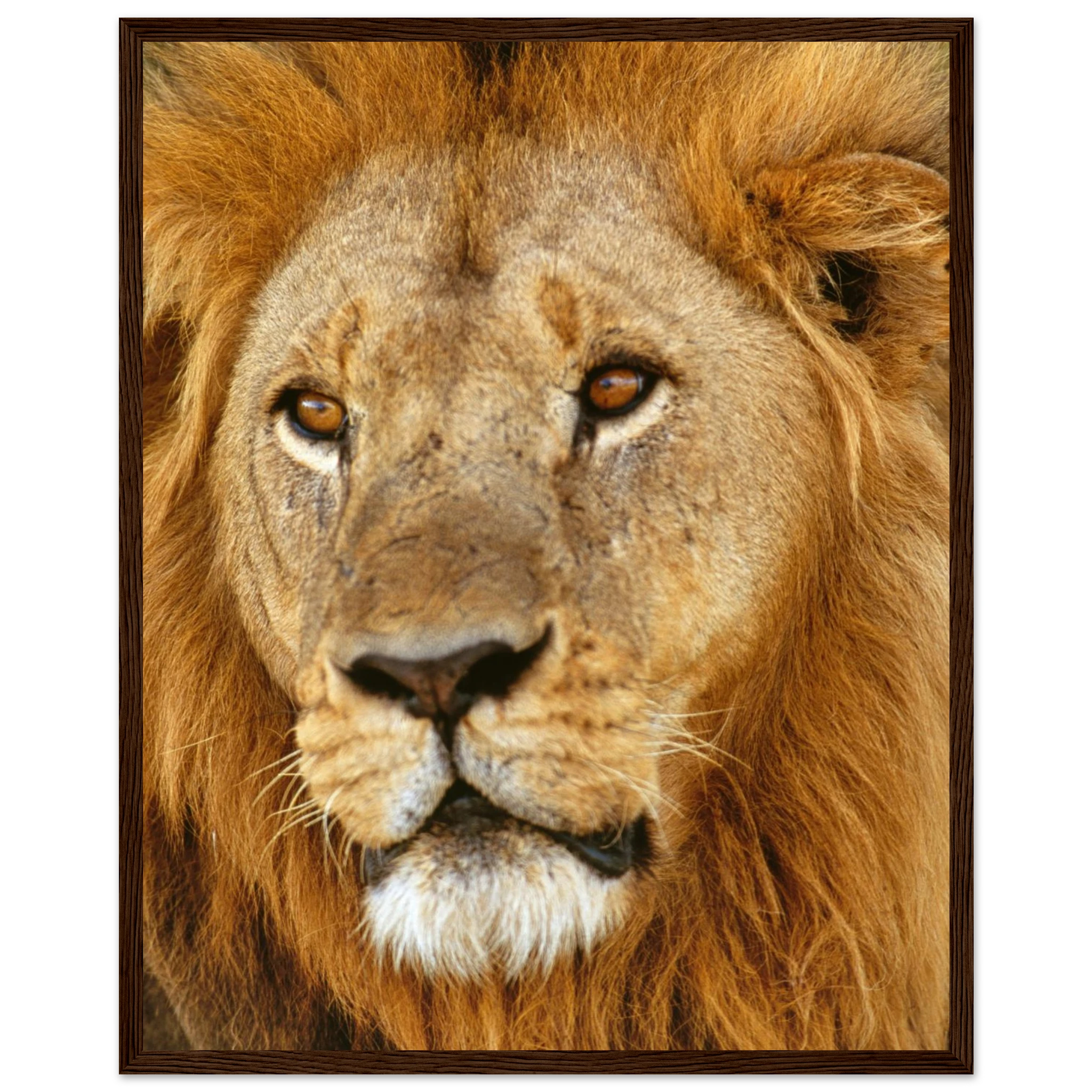 7949f698-6d67-403d-855f-1a777e8b8882