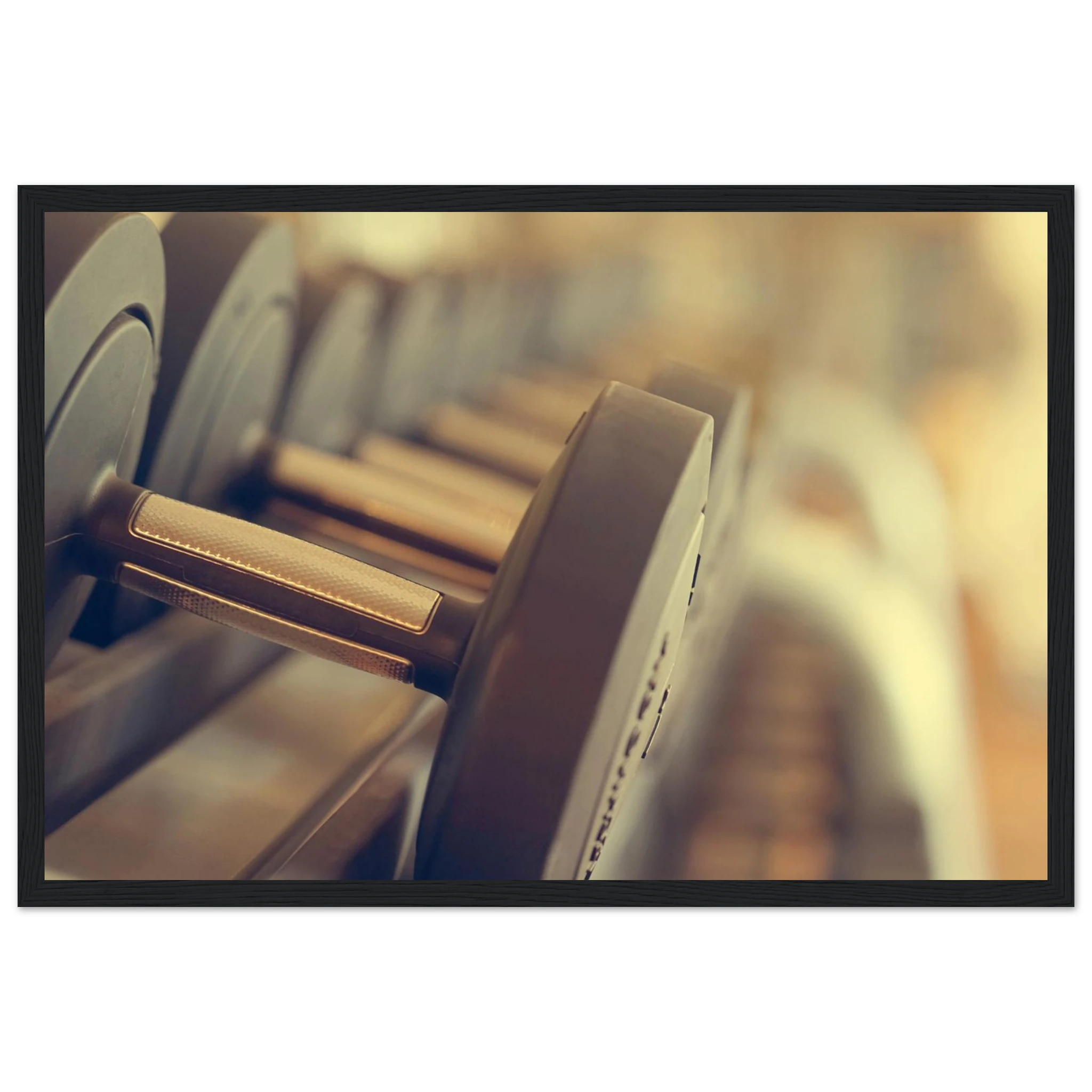 794c96a0-a79a-42d4-a63f-b90fb467e385