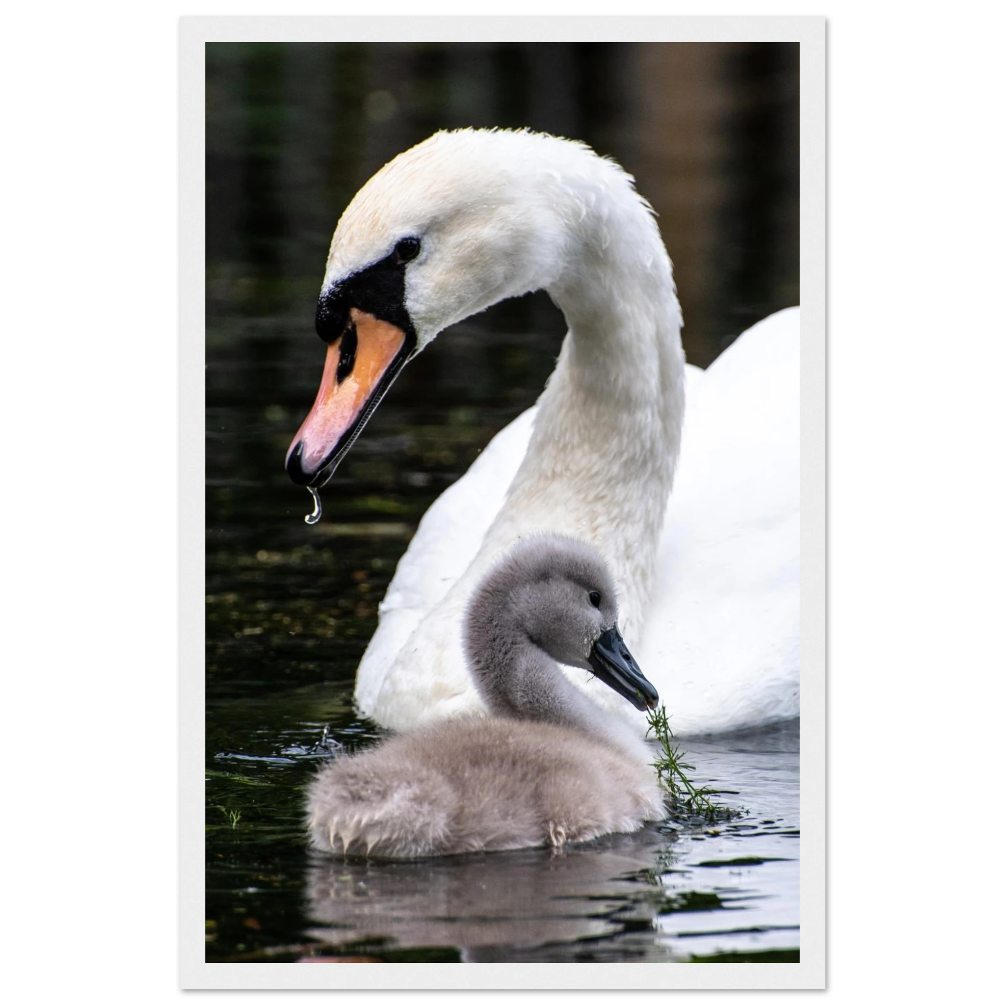 79805e3b-a2a8-4eee-816f-e636e314075d