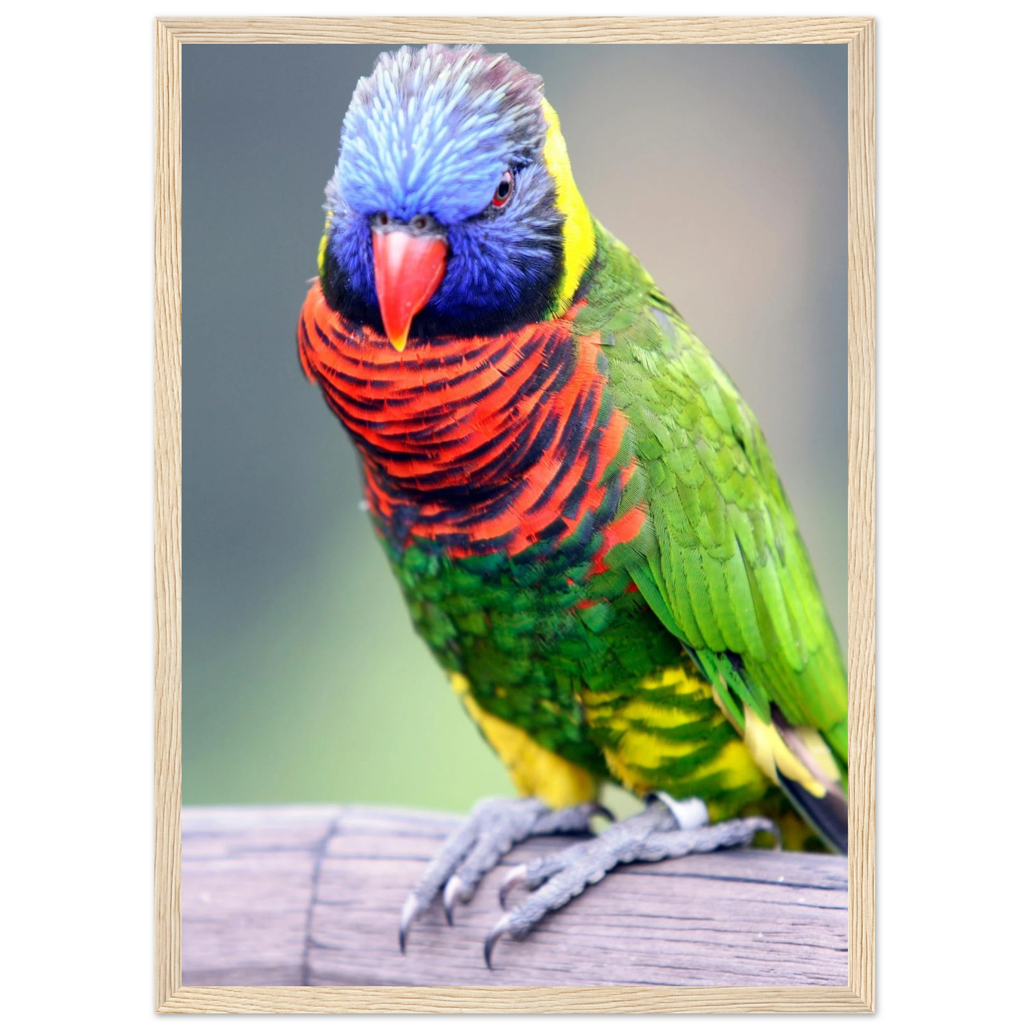 799f0a55-32b8-455a-a342-ceee5c55cf88