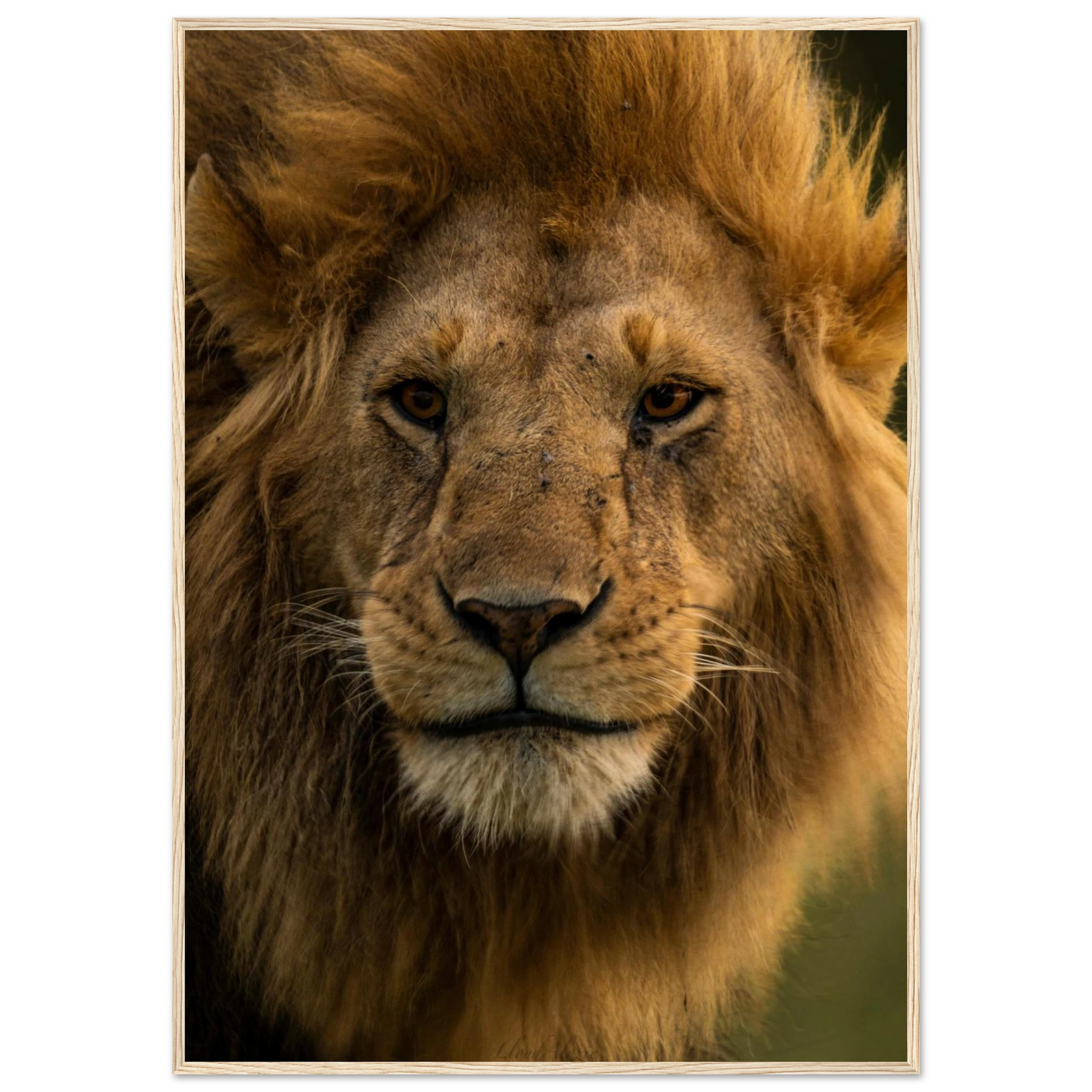 79a6f0a3-b675-4731-b260-458e4e3d769c