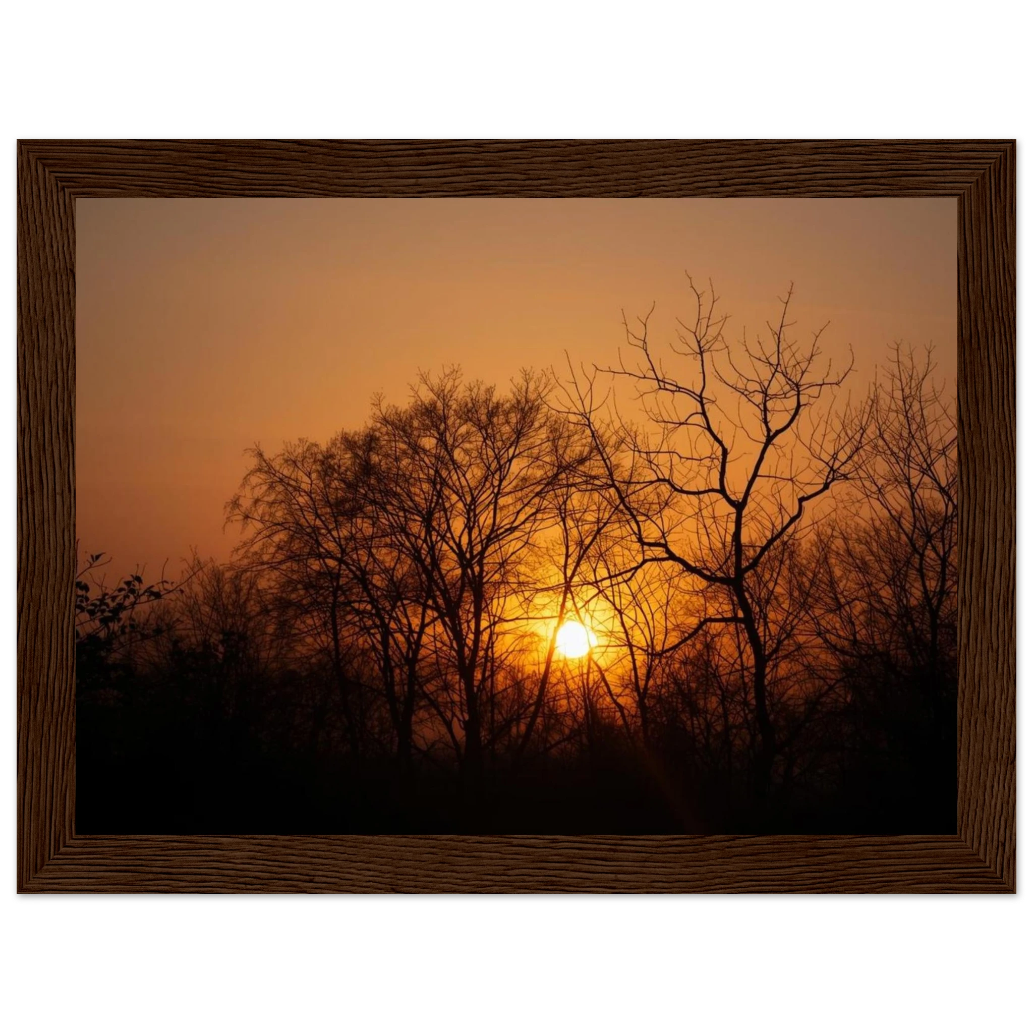 79baa451-bba7-4dbd-801d-7b7fc126a2c6