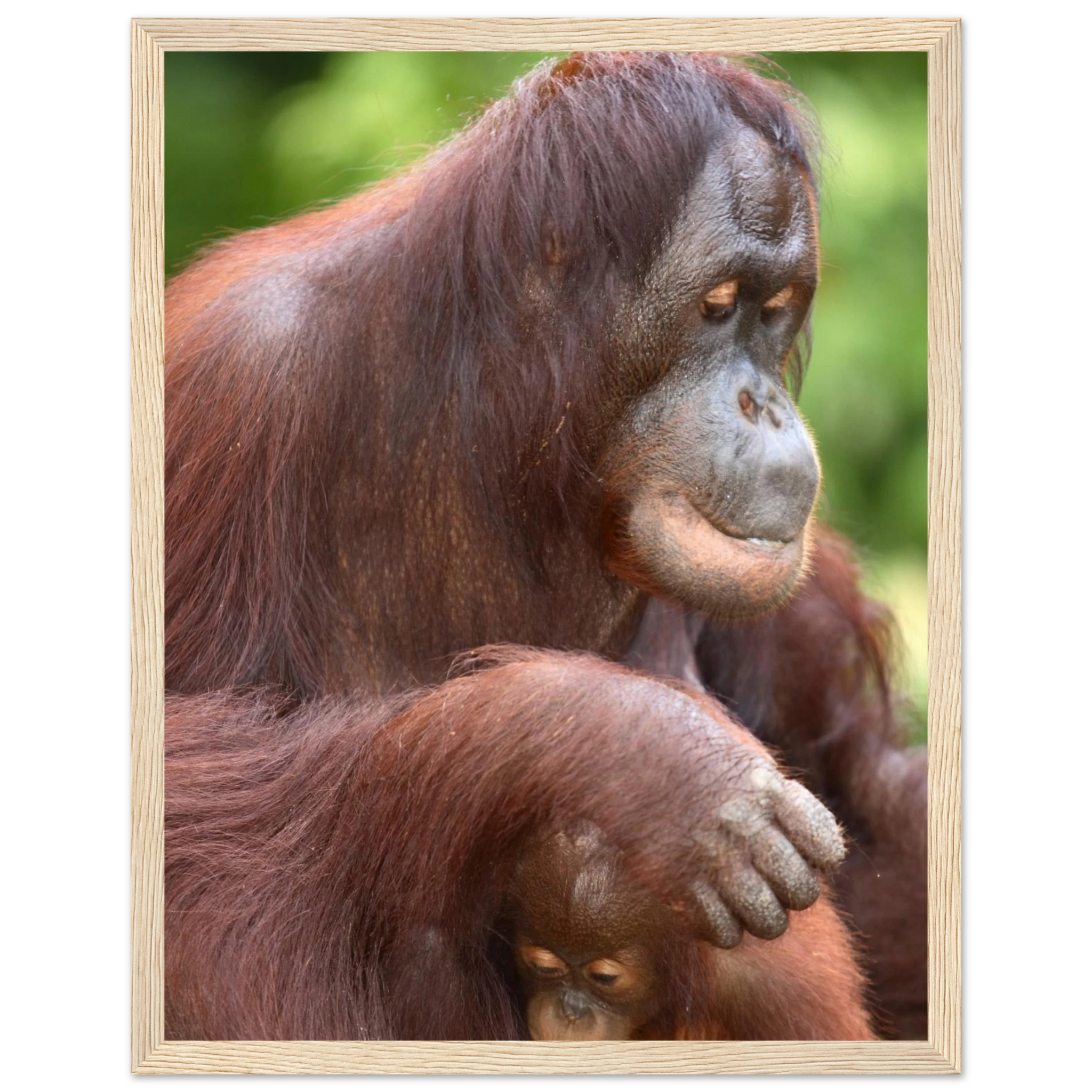 79c087e6-f442-4854-8cf6-f31ae847a3ca