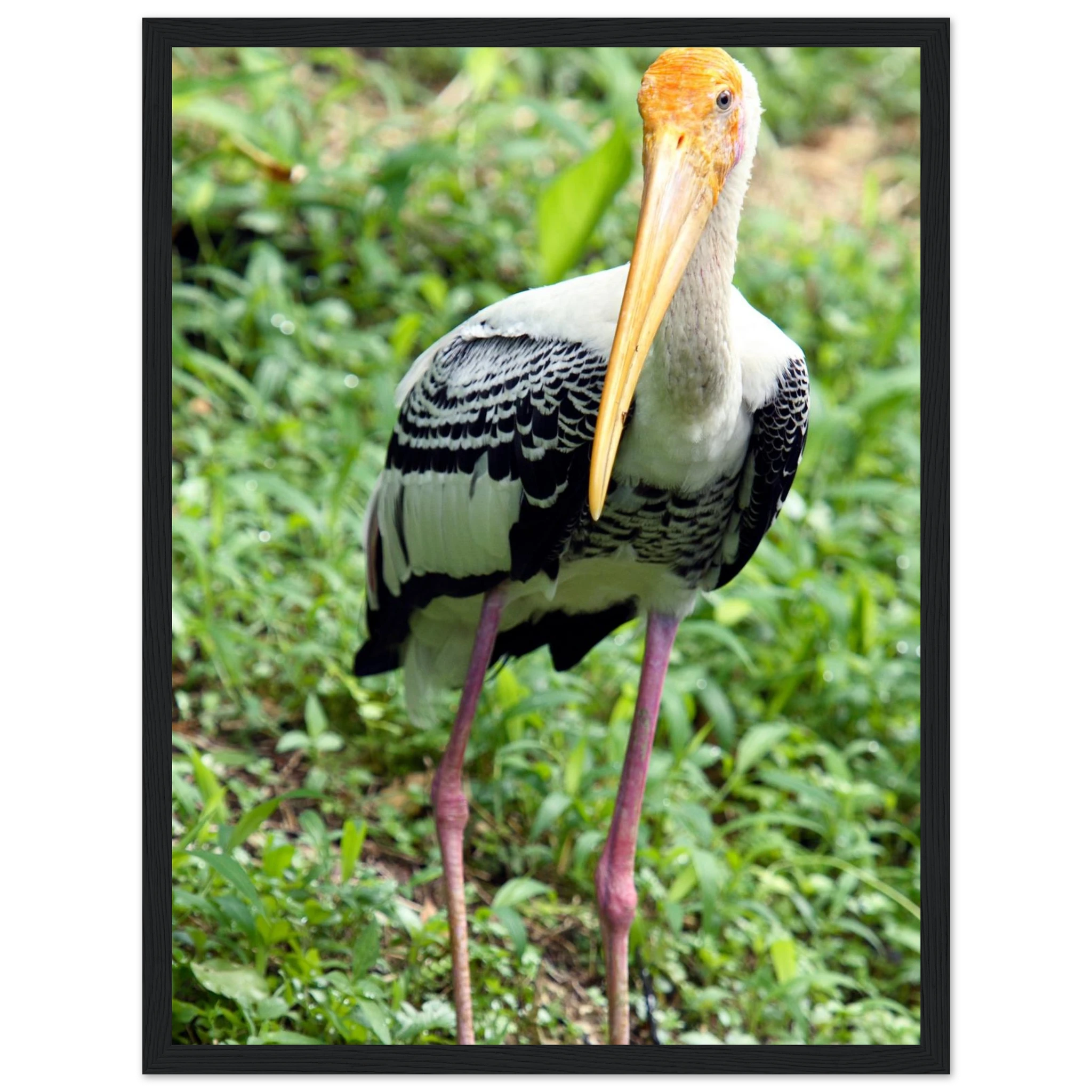 79d25106-fe4e-4c4b-9430-cf507ba9b0a8