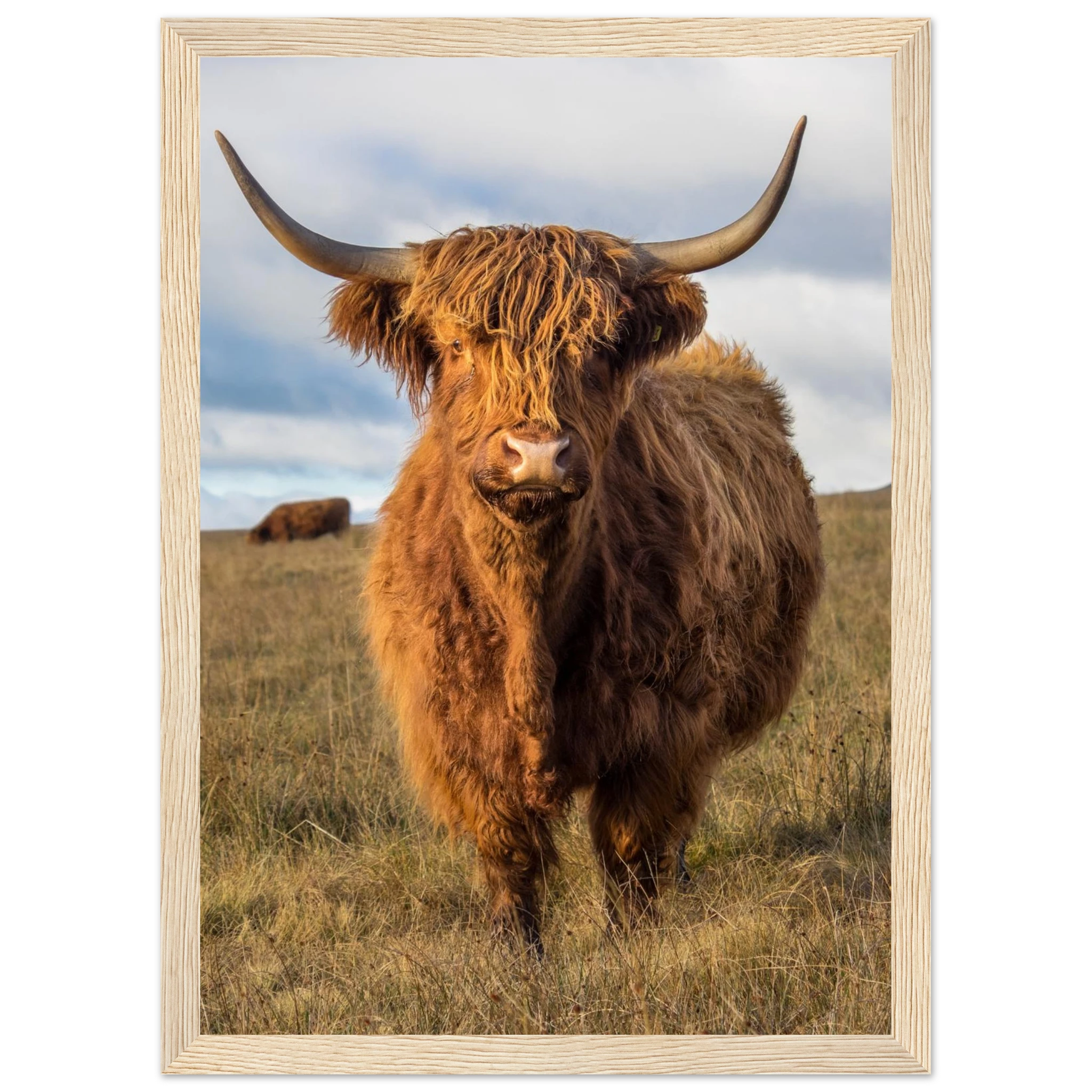 79f99a63-a93f-4554-9974-c7c7f36a781d