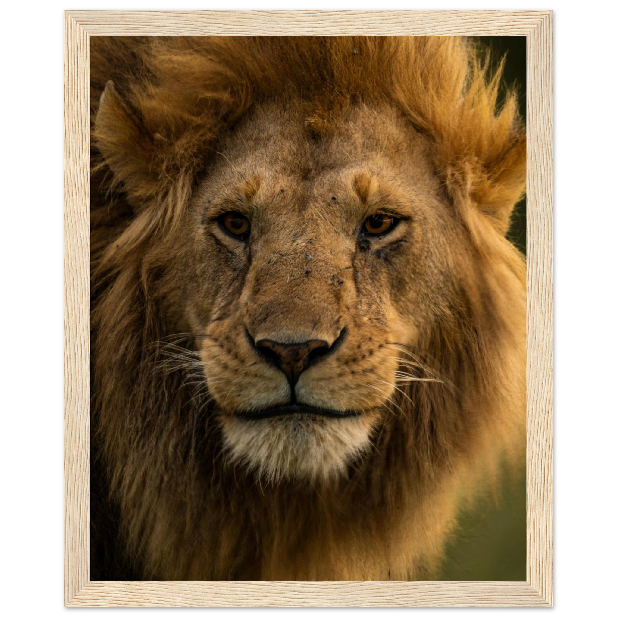 79fc3e4d-ae49-4c65-8440-bd483832ff76