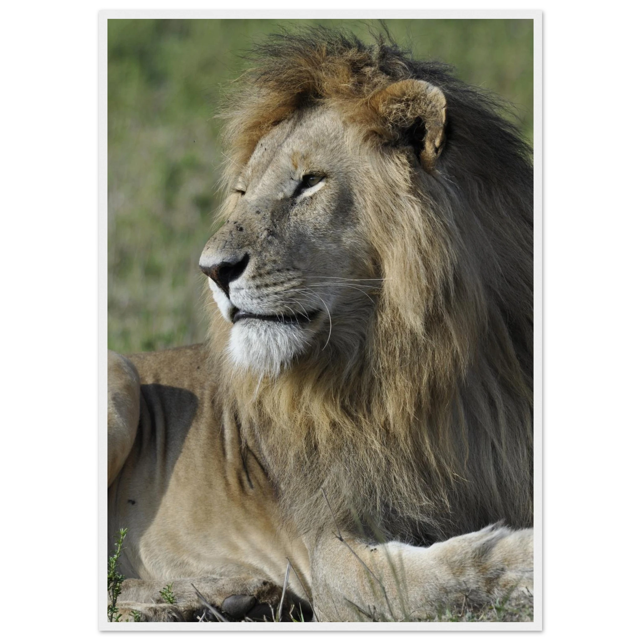 7a0c7d4a-8f8d-48d1-ae97-307148ee274f