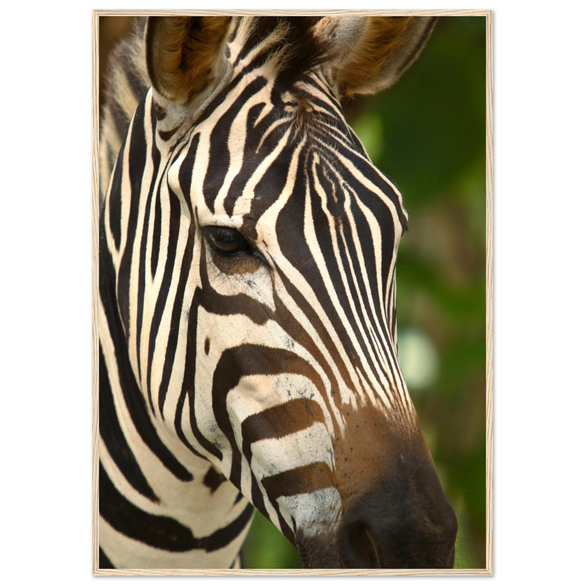 7a128a4e-b189-43c8-8e87-624fc38a0c78